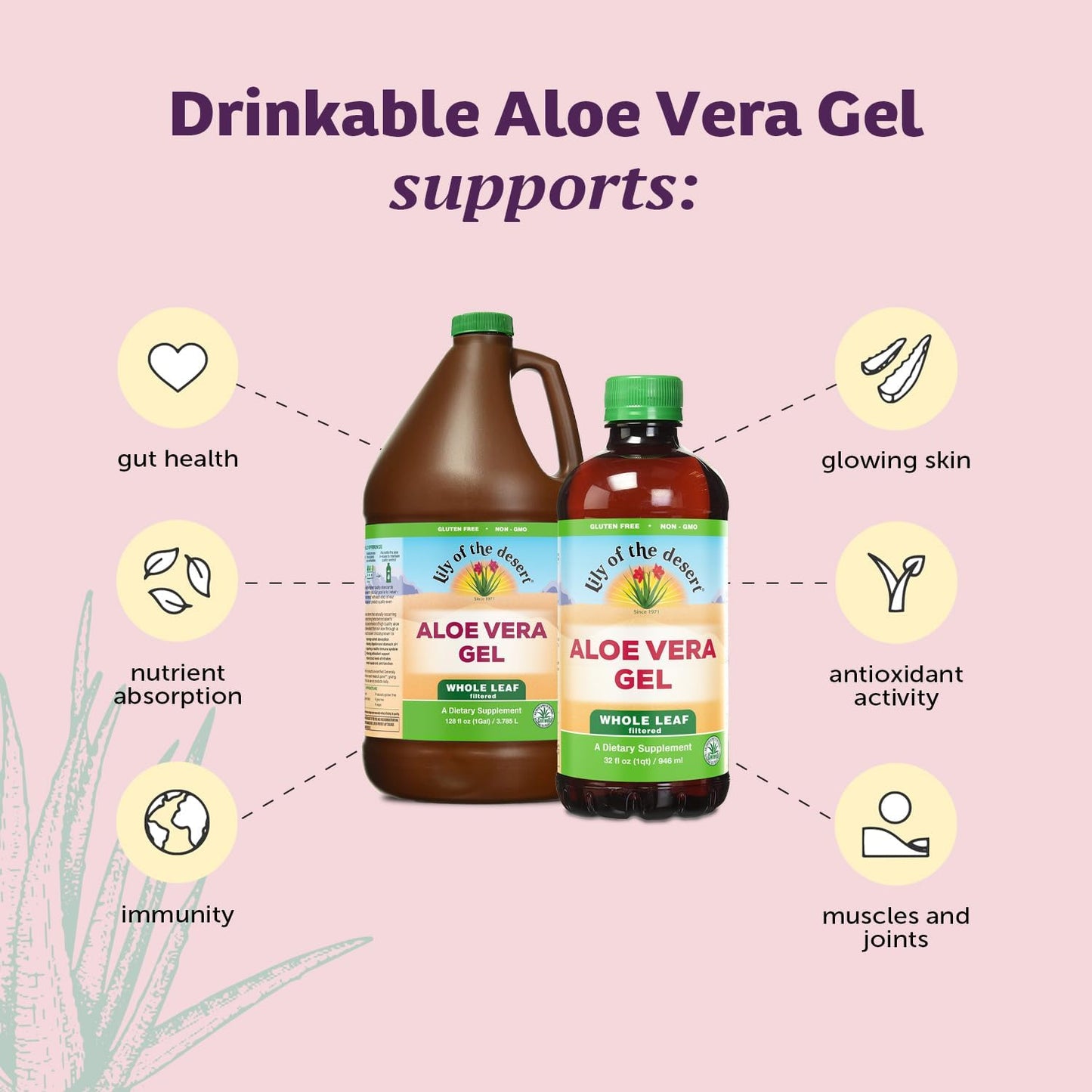 Preservative-Free Aloe Vera Gel Drink with Natural Vitamins for Gut Health & Glowing Skin - 32 Fl Oz