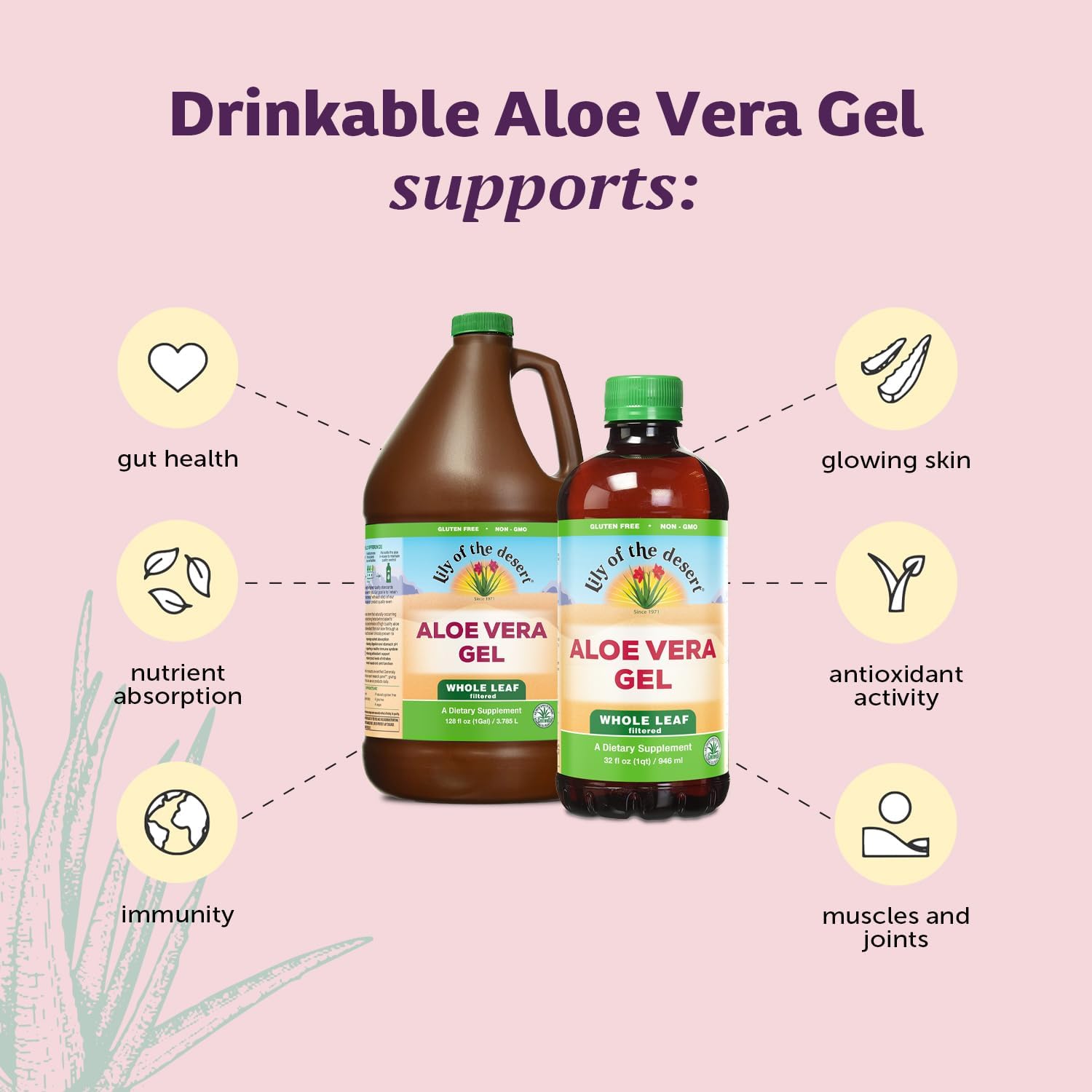Preservative-Free Aloe Vera Gel Drink with Natural Vitamins for Gut Health & Glowing Skin - 32 Fl Oz