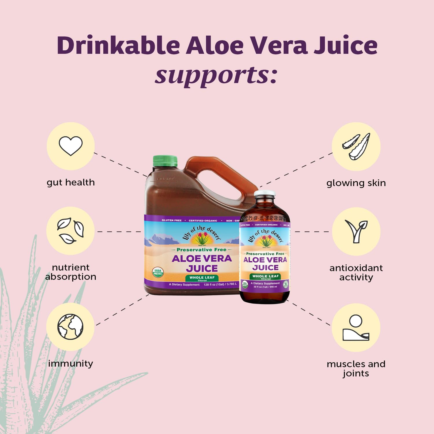 Preservative-Free Lily Of The Desert Aloe Vera Juice with Natural Vitamins and Digestive Enzymes for Gut Health, Stomach Relief, and Glowing Skin