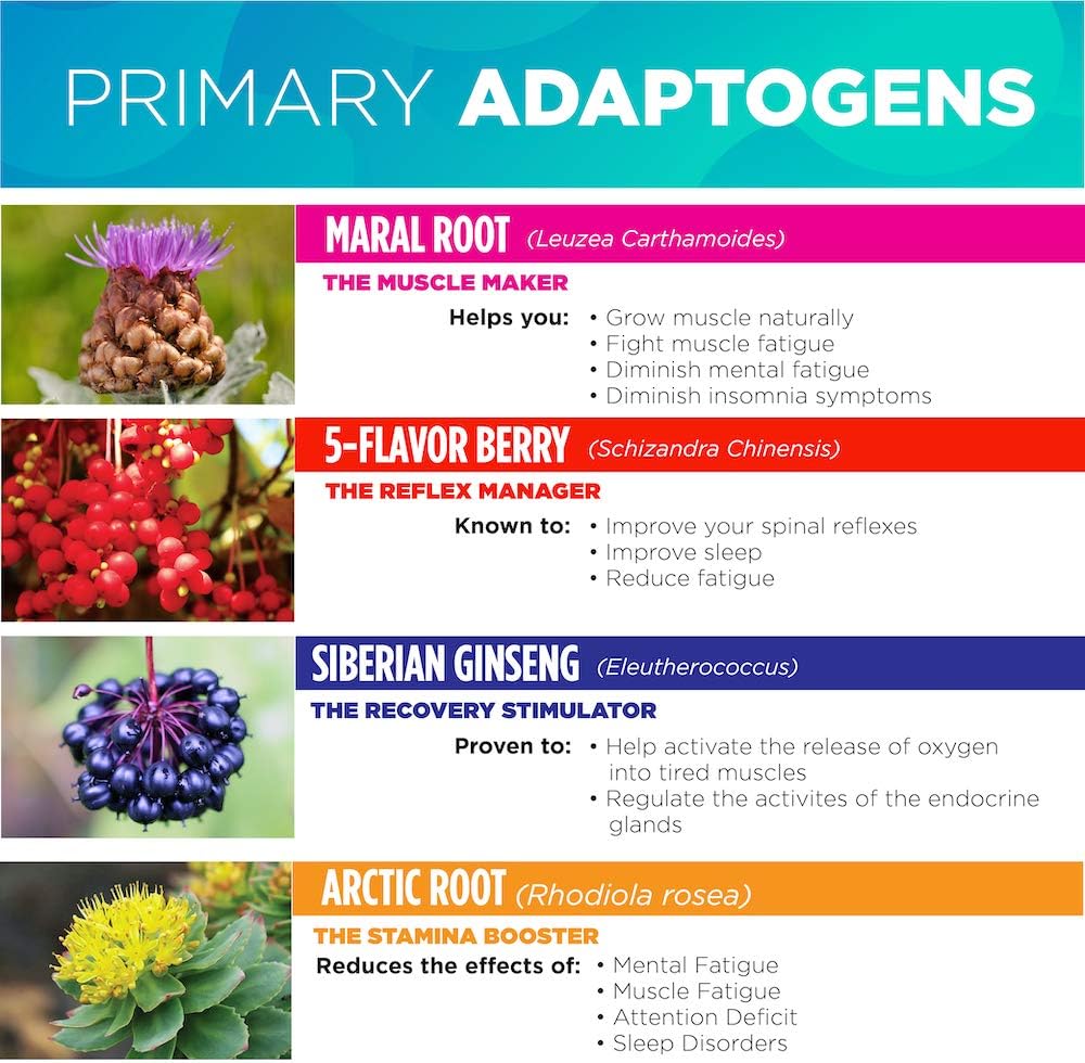 Primary Adaptogen Blend for Men with Rhodiola Rosea, Siberian Ginseng, Maral Root & Lommonik | Adrenal Support, Performance Enhancer, Cortisol Management, Energy Booster & Stress Reducer