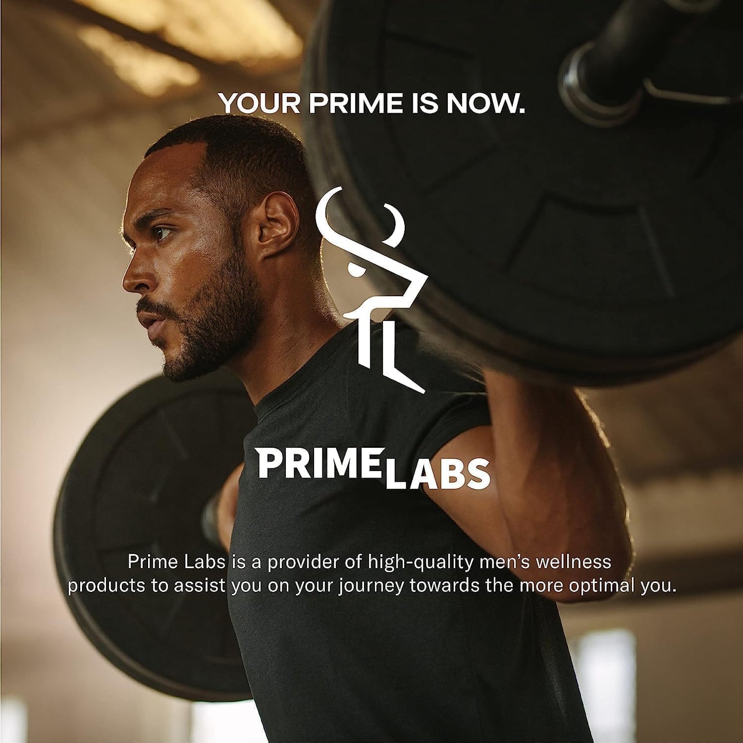 Prime Labs Prime Test with L Glutamine Capsules for Testosterone Support and Muscle Recovery