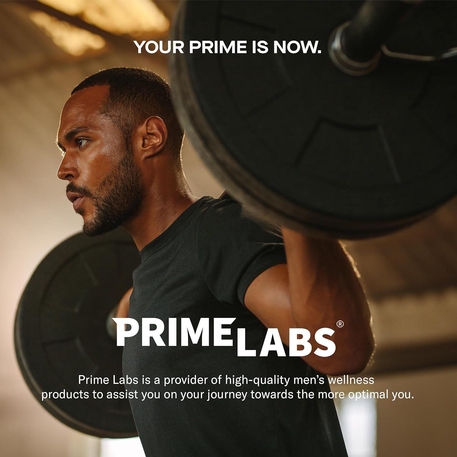 Prime Labs Tongkat Ali for Men with Organic Black Maca Root and Tribulus Terrestris - Boost Performance, Vitality, Energy - 60 Capsules