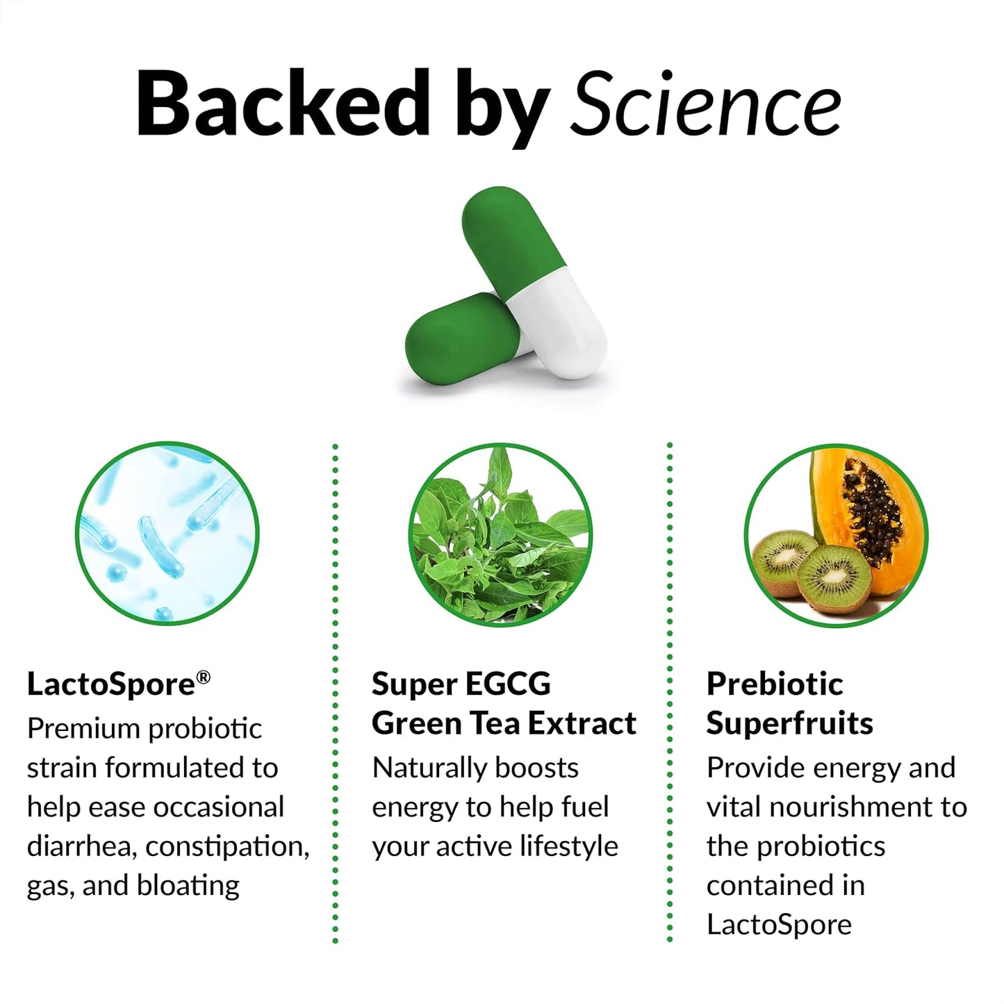 ProbioSlim 2-Pack Probiotic Supplement with Green Tea Extract for Digestive Health, Reduce Gas & Bloating, 60 Capsules