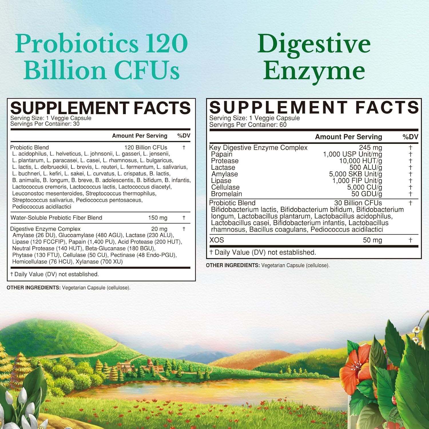 Probiotic and Digestive Enzyme Bundle for Gut Health - 120 Billion CFUs - 30 + 60 Capsules - Immune Support