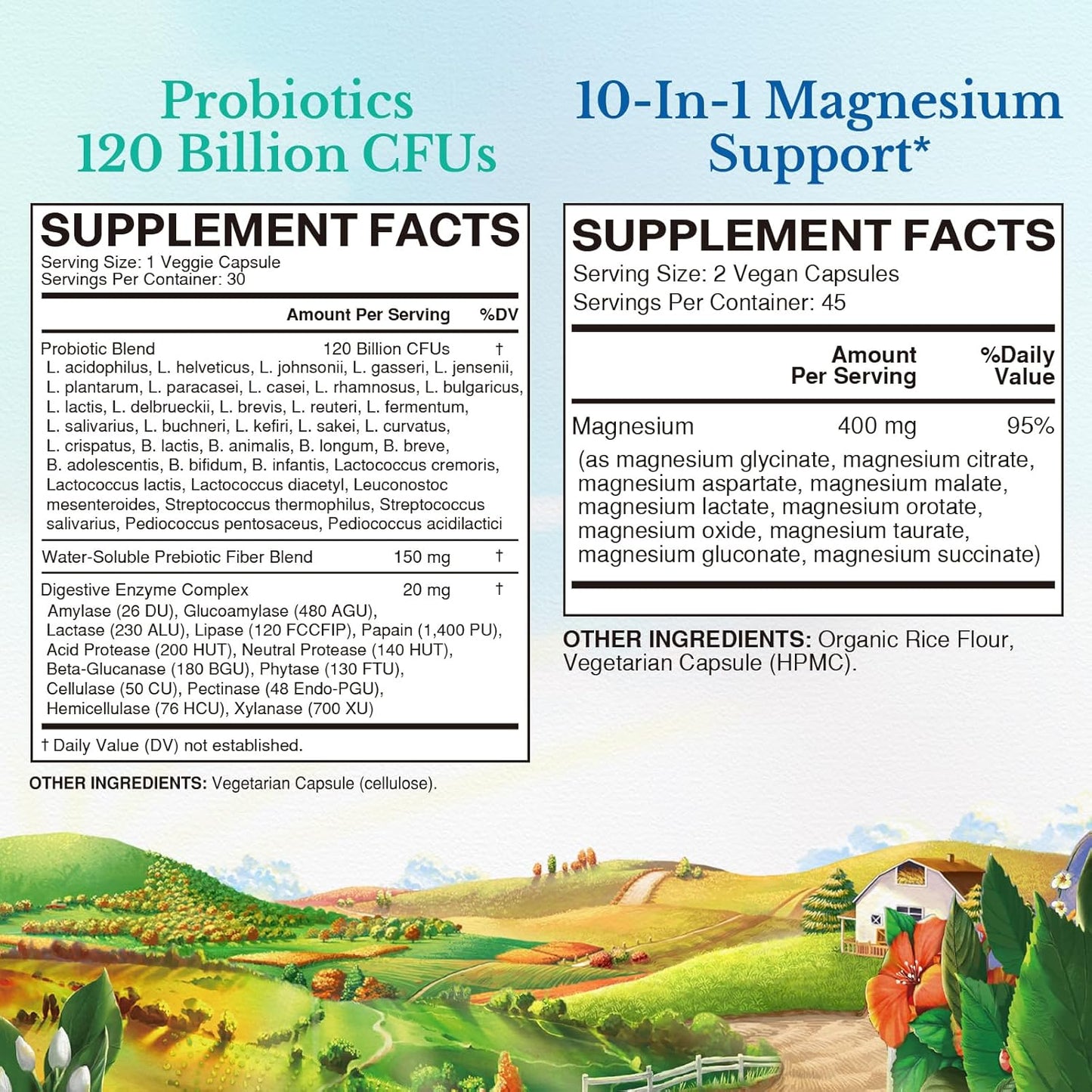 Probiotic and Magnesium Bundle | 120 Billion Probiotics + 6-in-1 Magnesium Complex | Gut, Bone, Muscle, Sleep Support | Vegan | Pack of 2