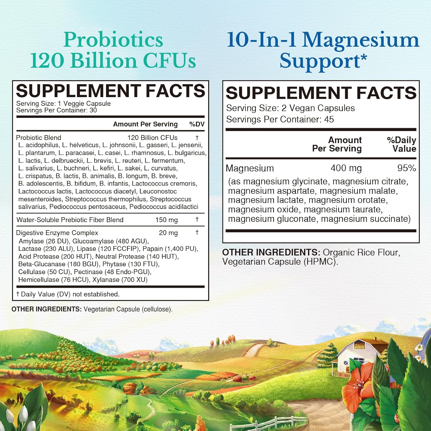 Probiotic and Magnesium Bundle | 120 Billion Probiotics + 6-in-1 Magnesium Complex | Gut, Bone, Muscle, Sleep Support | Vegan | Pack of 2