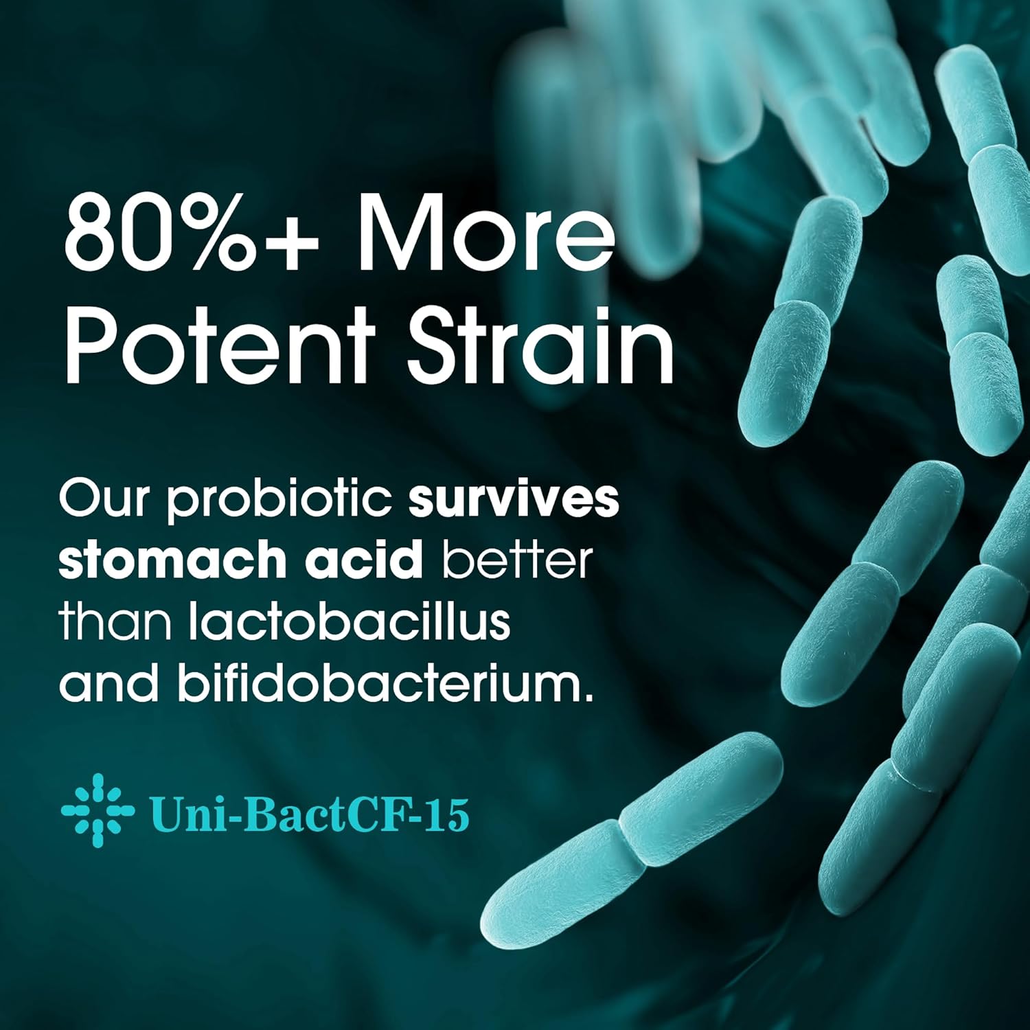 Probiotic and Nootropic Brain Support Supplement for Optimal Nutrition