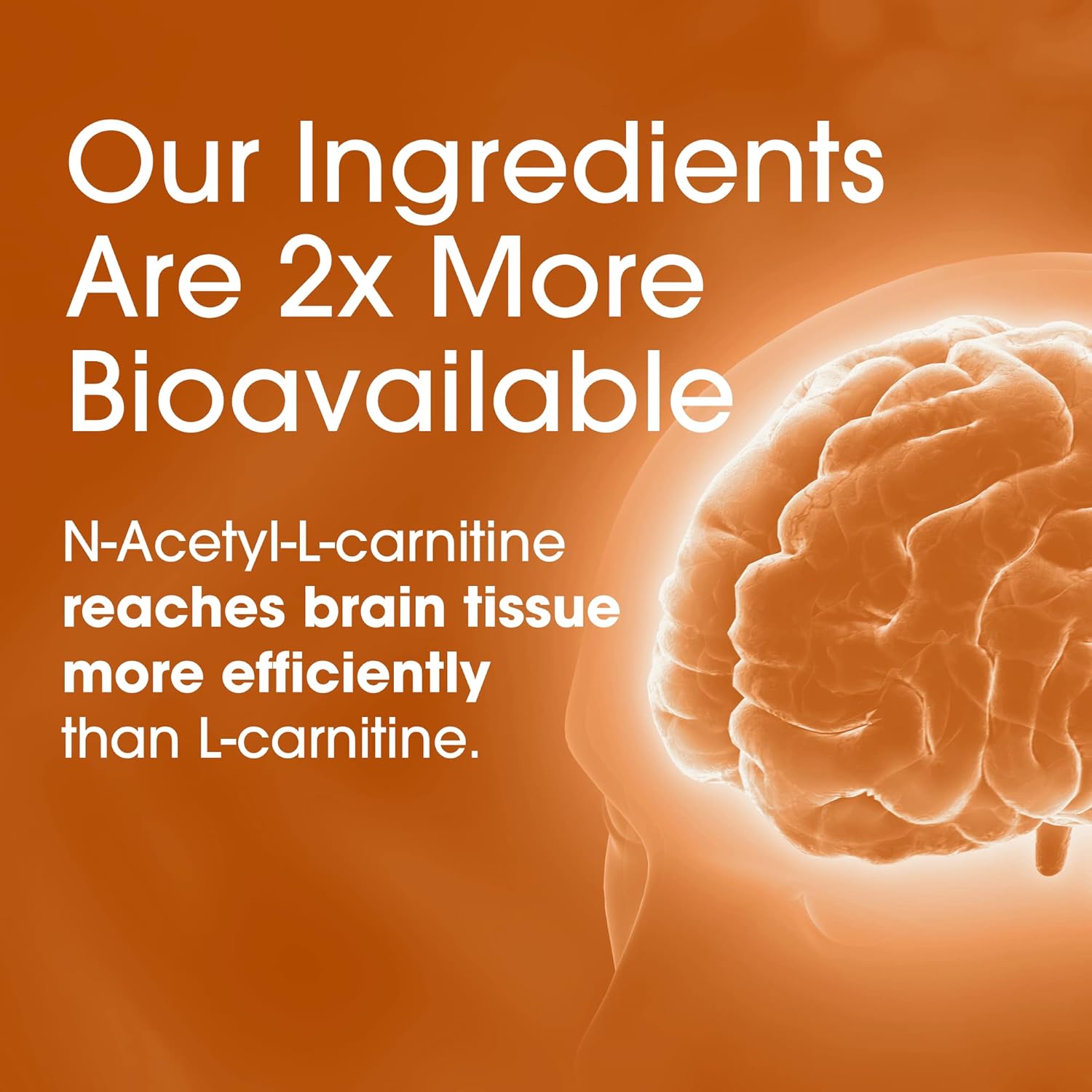 Probiotic and Nootropic Brain Support Supplement for Optimal Nutrition