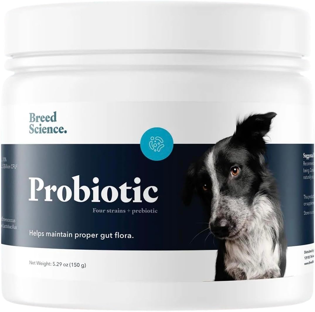 Probiotic and Prebiotic Powder for Dogs - Diarrhea and Gas Relief Supplement - Immune Health and Digestive Support - Stool Hardener for Pets