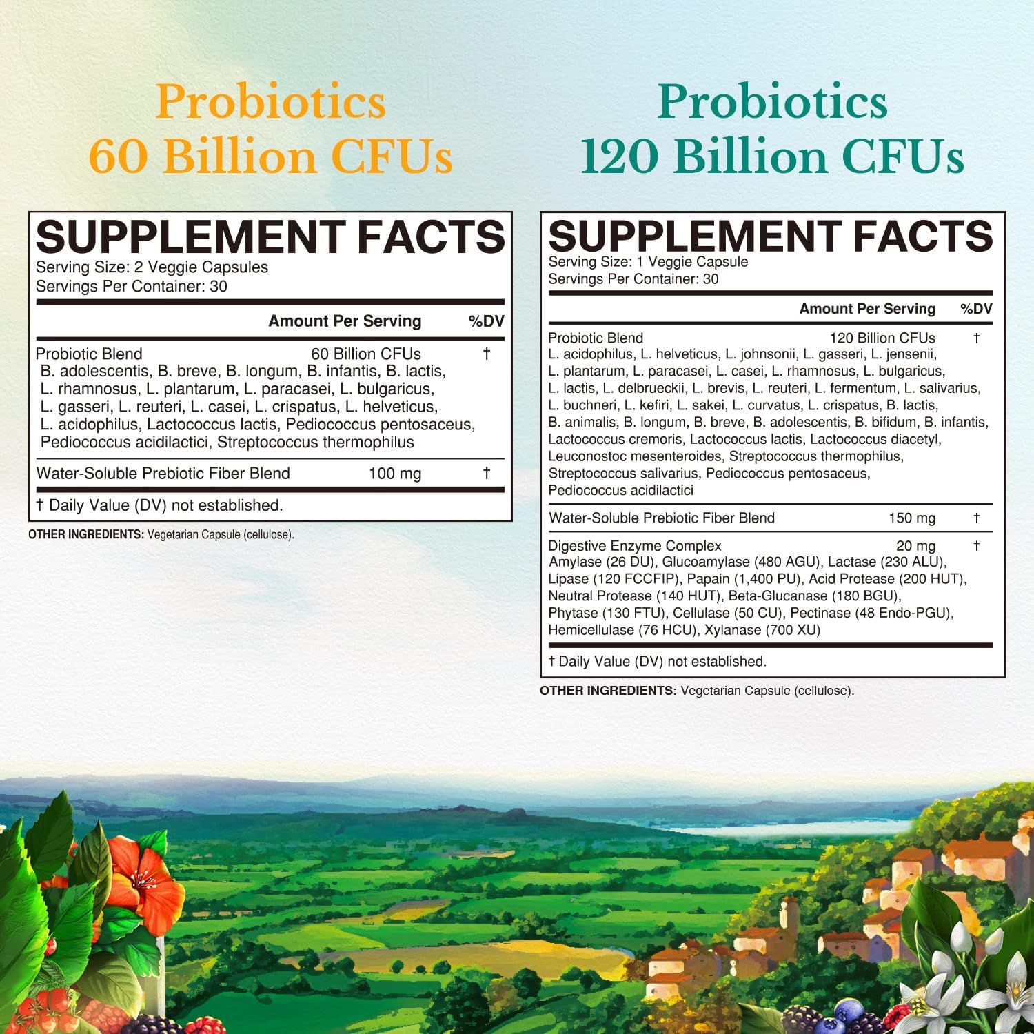Probiotic Bundle: 60 Billion CFUs & 120 Billion CFUs | Digestive & Immune Health | 30 Day Supply | Shelf Stable