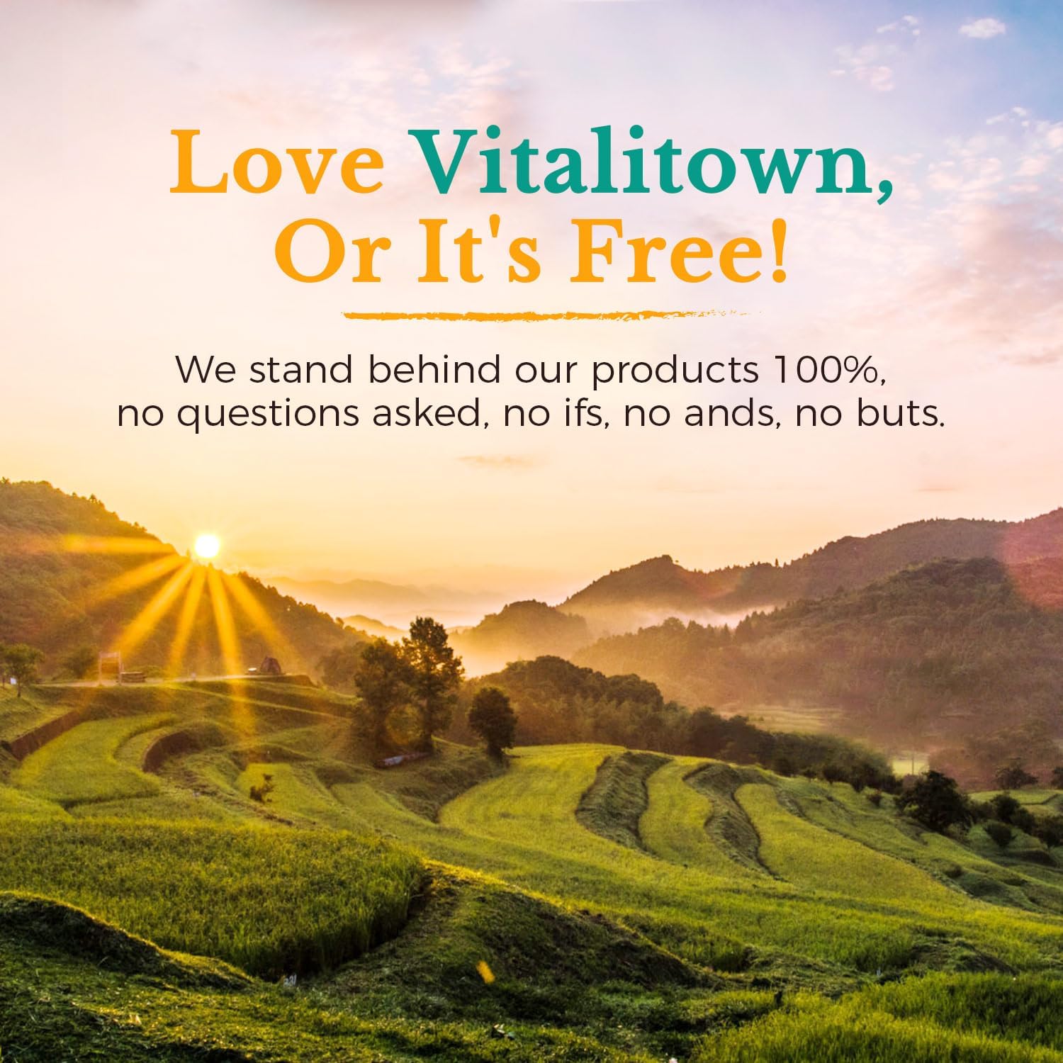 Probiotic Bundle: 60 Billion CFUs & 120 Billion CFUs | Digestive & Immune Health | 30 Day Supply | Shelf Stable