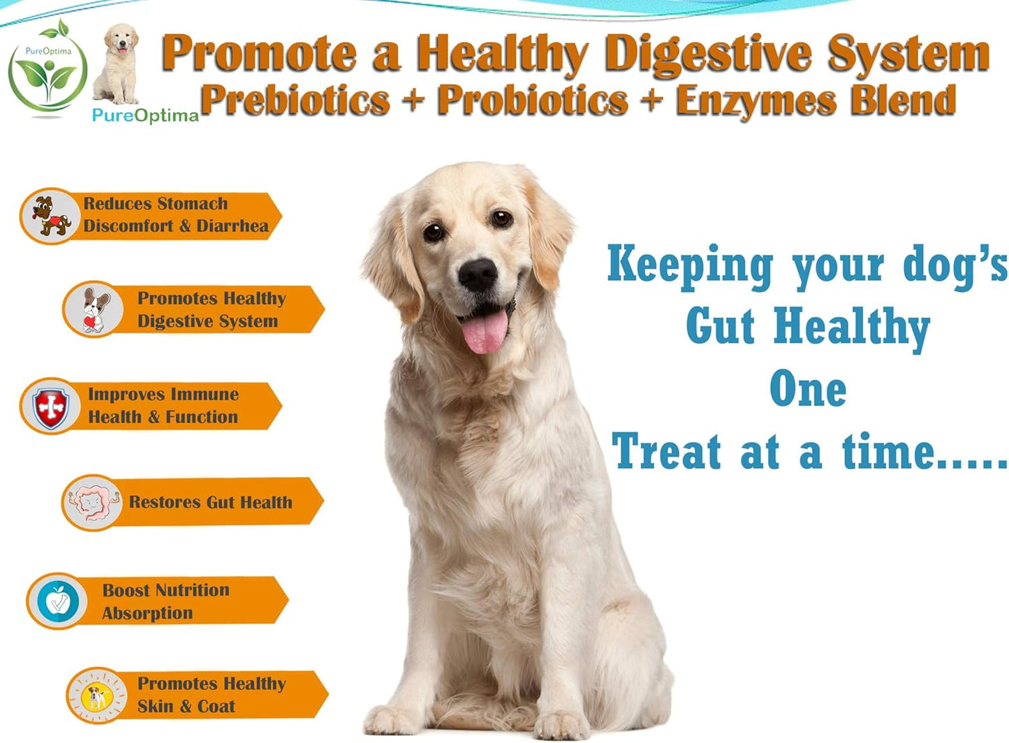 Probiotic Chews for Dogs with Digestive Enzymes and Prebiotics, Improve Digestion and Immunity - 120 Count