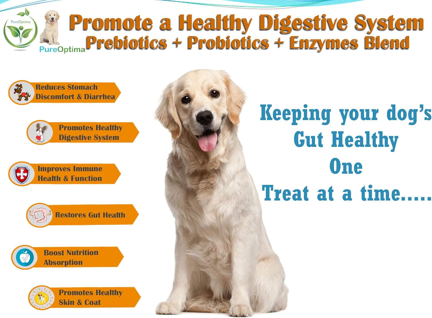 Probiotic Chews for Dogs with Digestive Enzymes and Prebiotics, Improve Digestion and Immunity - 120 Count