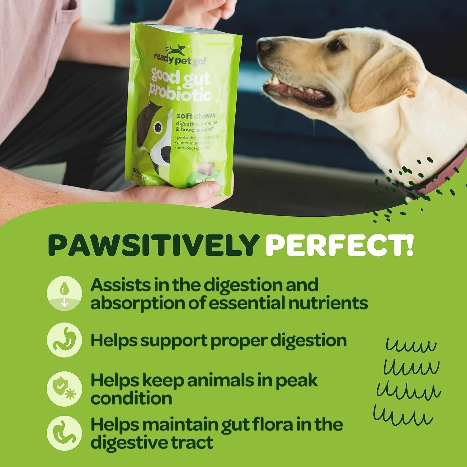 Probiotic Chews for Dogs with Pumpkin & Digestive Enzymes | Supports Gut Health & Digestion | NASC Certified | Made in USA | 60 Chews