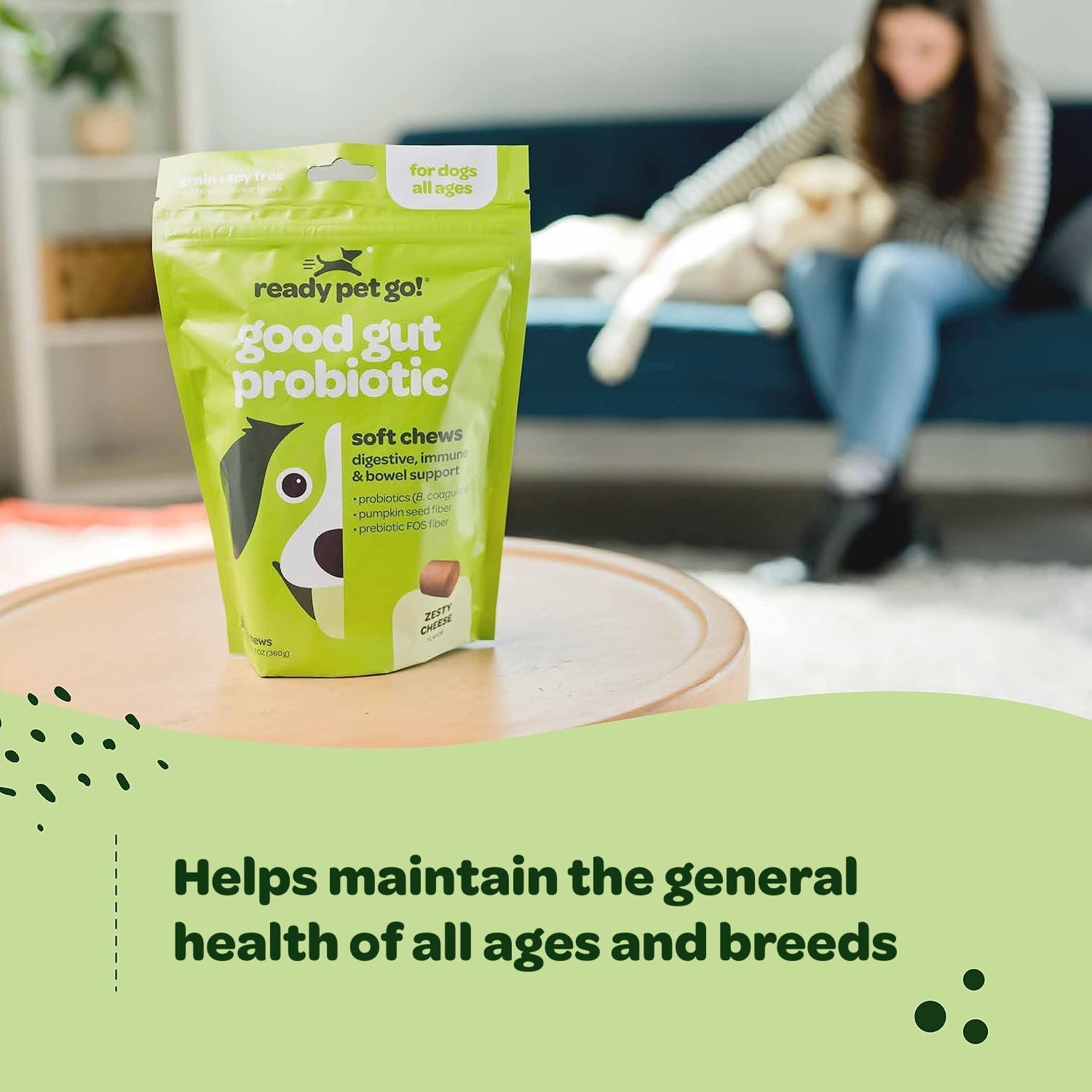 Probiotic Chews for Dogs with Pumpkin & Digestive Enzymes | Supports Gut Health & Digestion | NASC Certified | Made in USA | 60 Chews