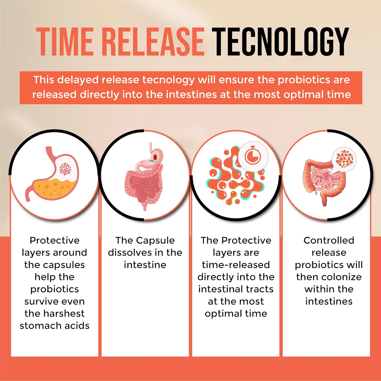 Probiotic Digestive Enzymes with Prebiotics for Women and Men - 100 Billion CFU, 34 Strains - Supports Digestive Health - 60 Capsules