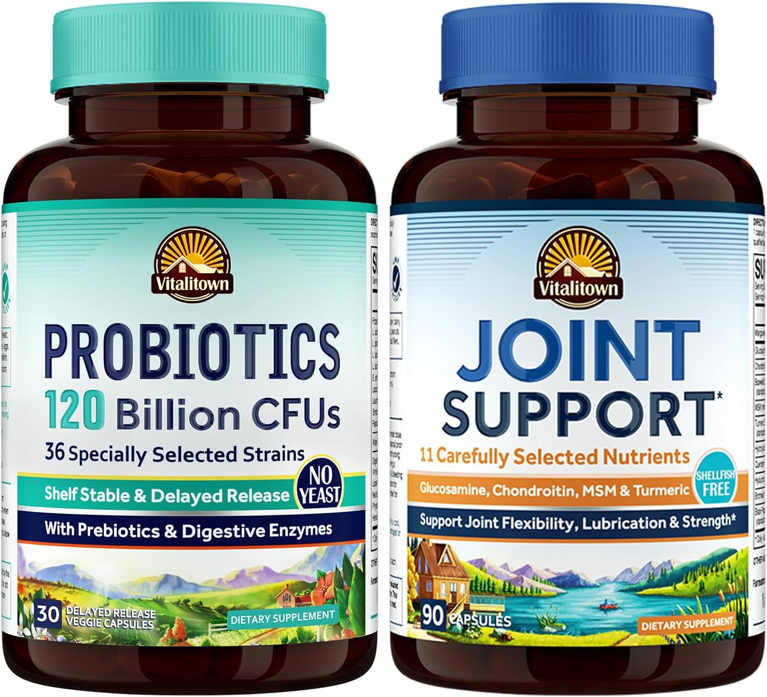 Probiotic + Glucosamine Chondroitin MSM Bundle | 120 Billion CFUs & Joint Support | 30 Probiotic Capsules & 90 Joint Capsules