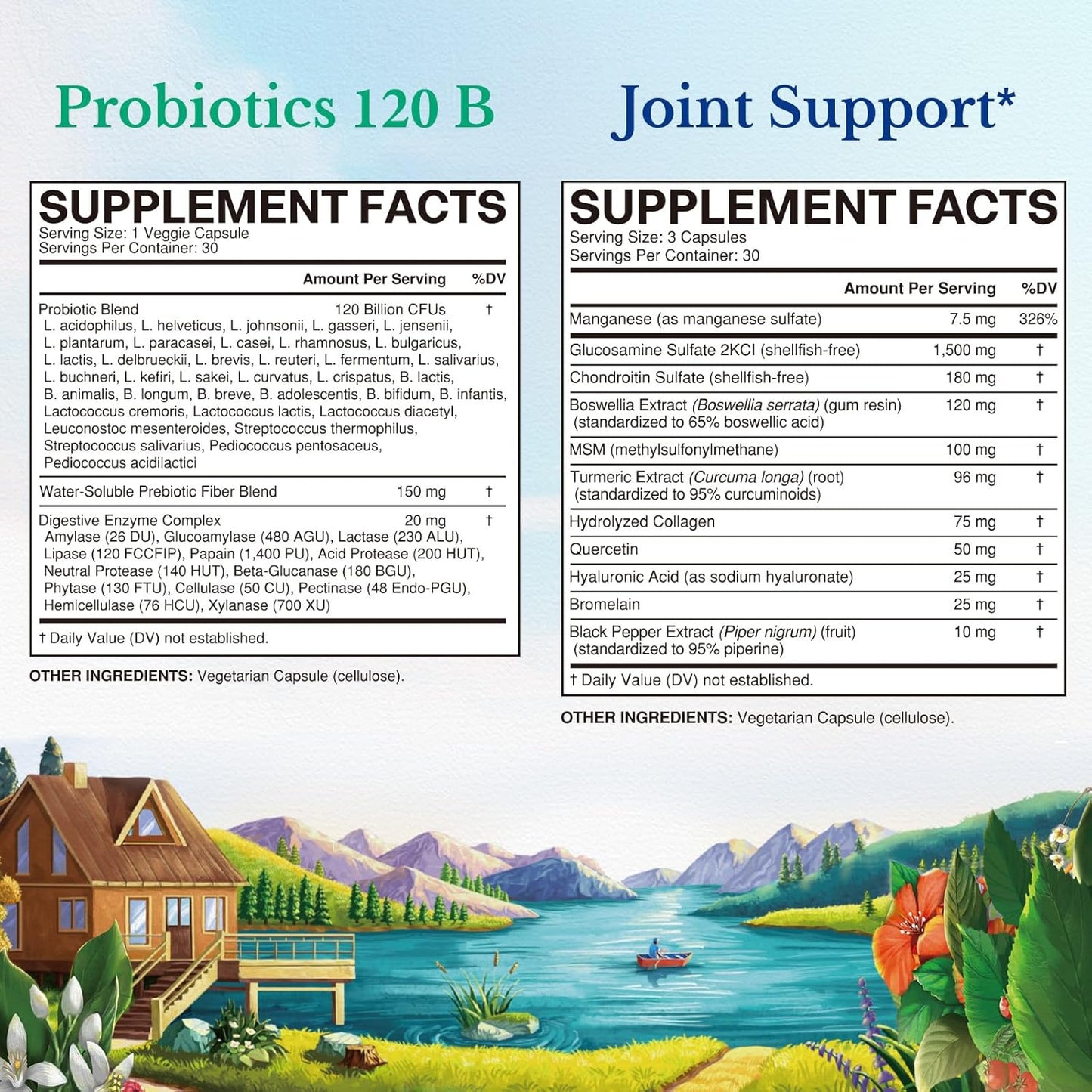Probiotic + Glucosamine Chondroitin MSM Bundle | 120 Billion CFUs & Joint Support | 30 Probiotic Capsules & 90 Joint Capsules