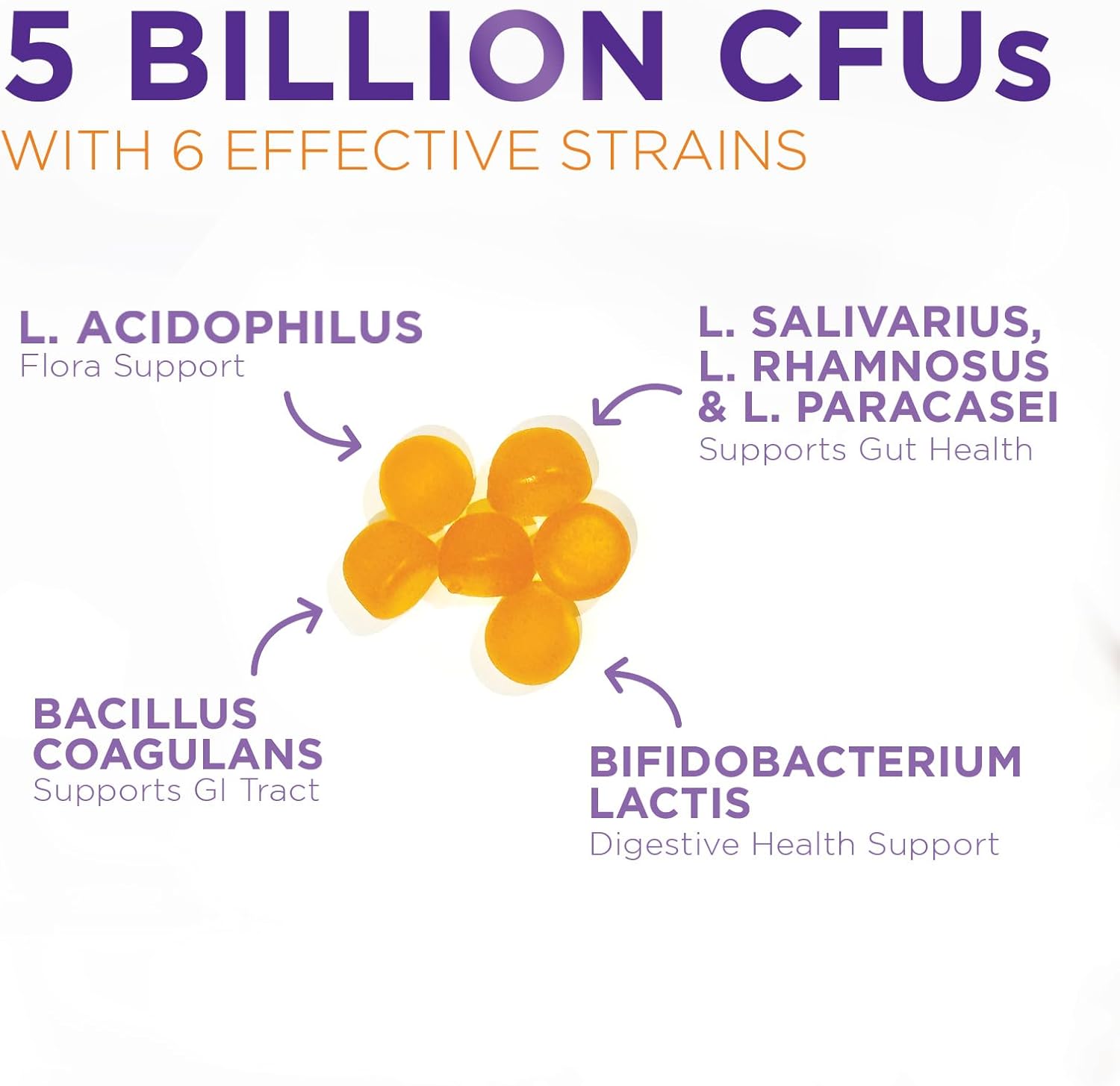 Probiotic Gummies for Digestive Health - Daily 5 Billion CFU Supplement for Women & Men - Supports Immune, Vaginal, & Gut Health - Non-GMO - 60 Gummies