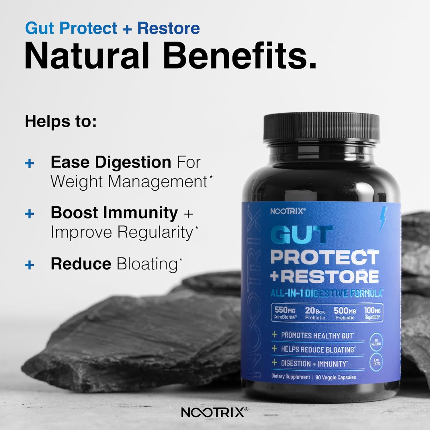 Probiotic Gut Health Supplement with Digestive Enzymes, Prebiotics & Postbiotics - Vegan Capsules for Men & Women - 90 Count