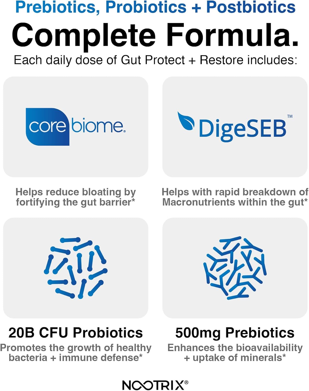 Probiotic Gut Health Supplement with Digestive Enzymes, Prebiotics & Postbiotics - Vegan Capsules for Men & Women - 90 Count