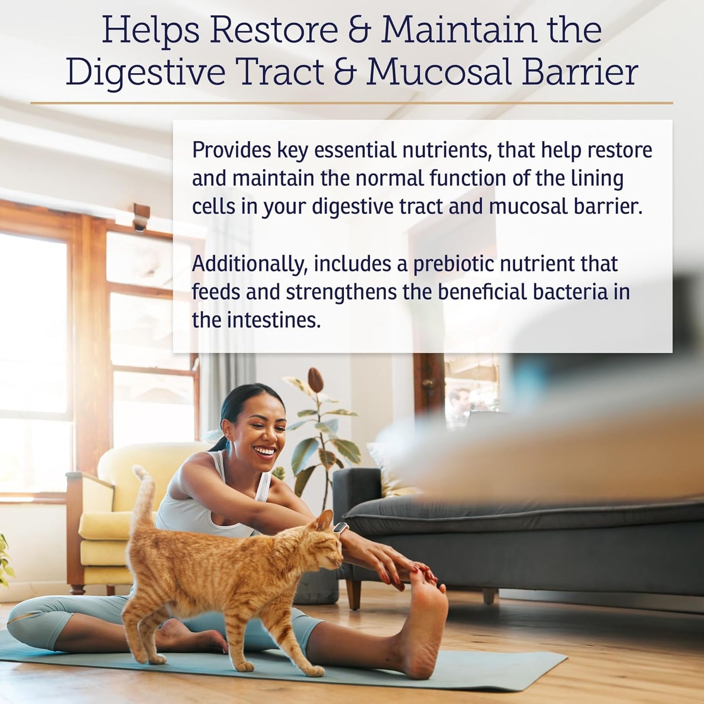 Probiotic Powder for Cats and Dogs - Digestive Health Support - Anti-Diarrhea & Gas Relief - 4.65oz