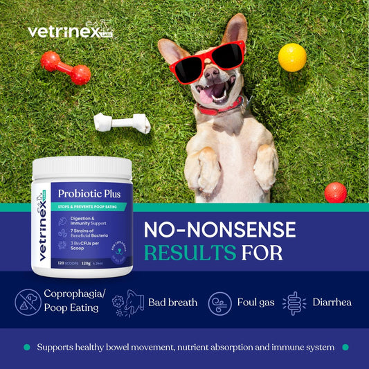 Probiotic Powder for Dogs & Cats to Stop Poop Eating - Coprophagia Deterrent & Prevention - Stool Eating Treatment (120 GMS)