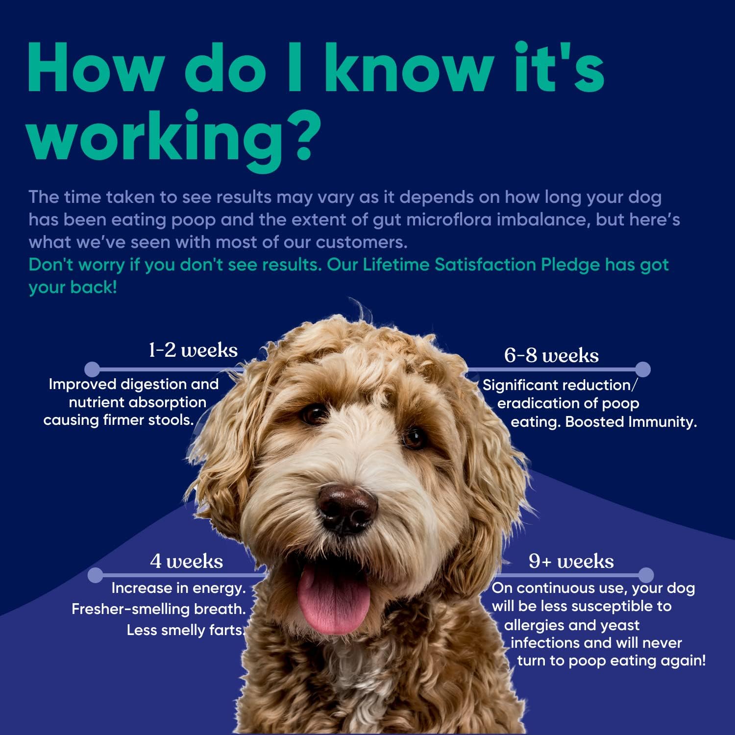 Probiotic Powder for Dogs & Cats to Stop Poop Eating - Coprophagia Deterrent & Prevention - Stool Eating Treatment (120 GMS)