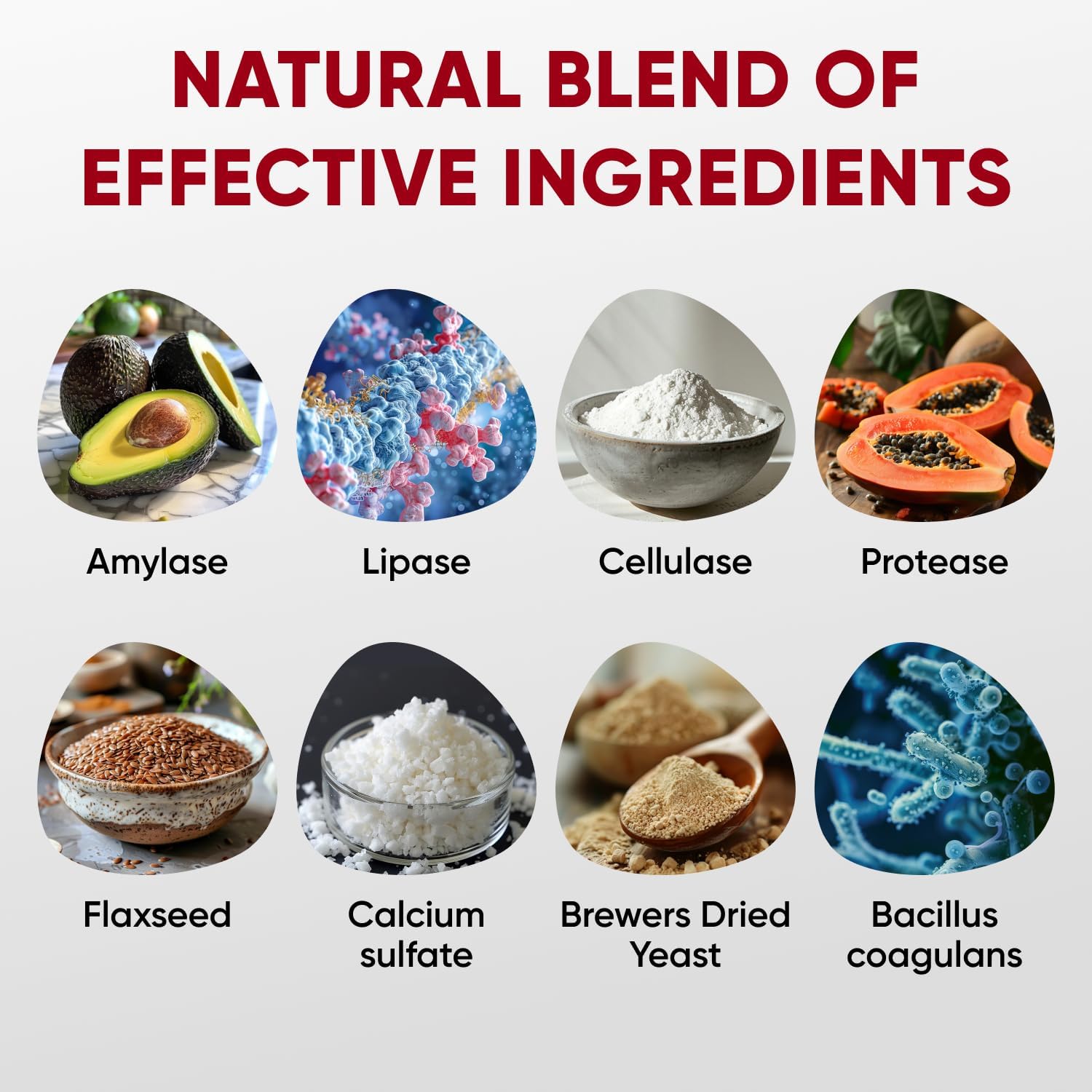 Probiotics and Enzymes Chewables for Dogs - Supports Immune System & Gut Health - Soft Treats for All Breeds - Contains Flaxseed