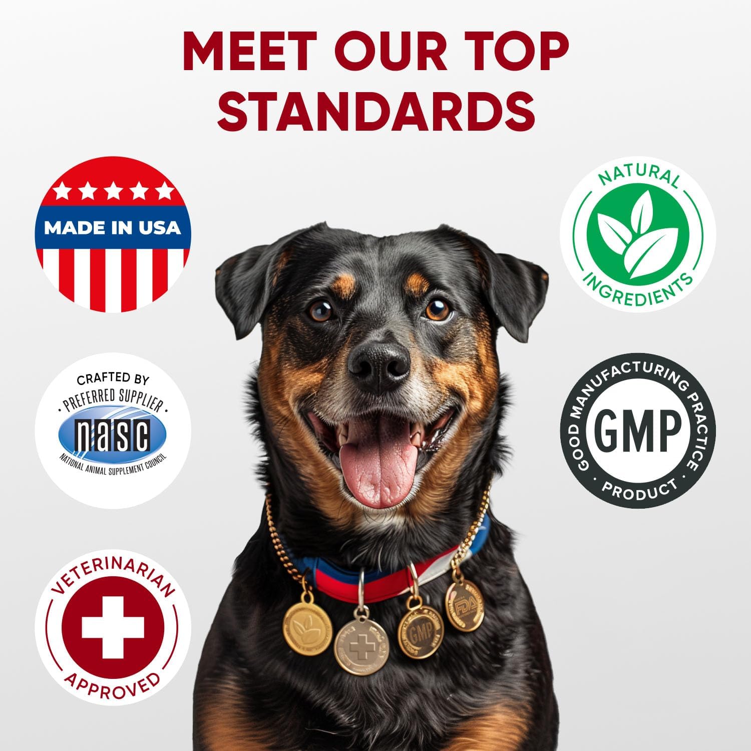 Probiotics and Enzymes Chewables for Dogs - Supports Immune System & Gut Health - Soft Treats for All Breeds - Contains Flaxseed