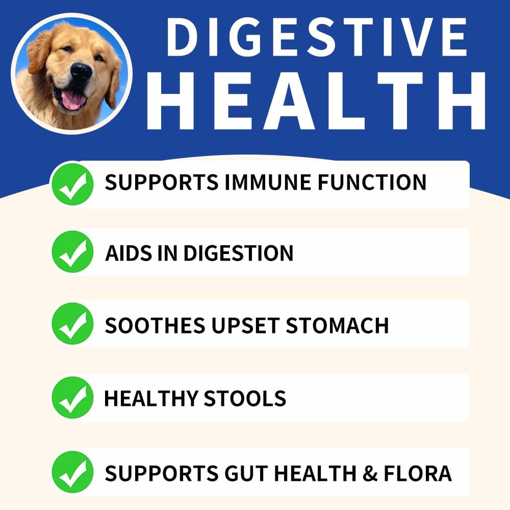 Probiotics for Dogs: Itchy Skin Relief, Gut Health, Allergy Support, Immunity Boost - Digestive Enzymes with Prebiotics, 90 Pork Chews