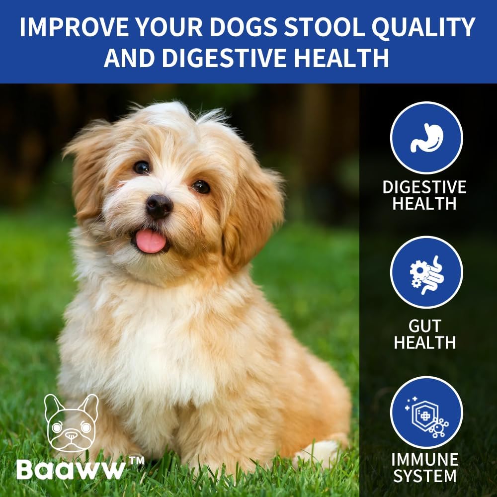 Probiotics for Dogs: Itchy Skin Relief, Gut Health, Allergy Support, Immunity Boost - Digestive Enzymes with Prebiotics, 90 Pork Chews