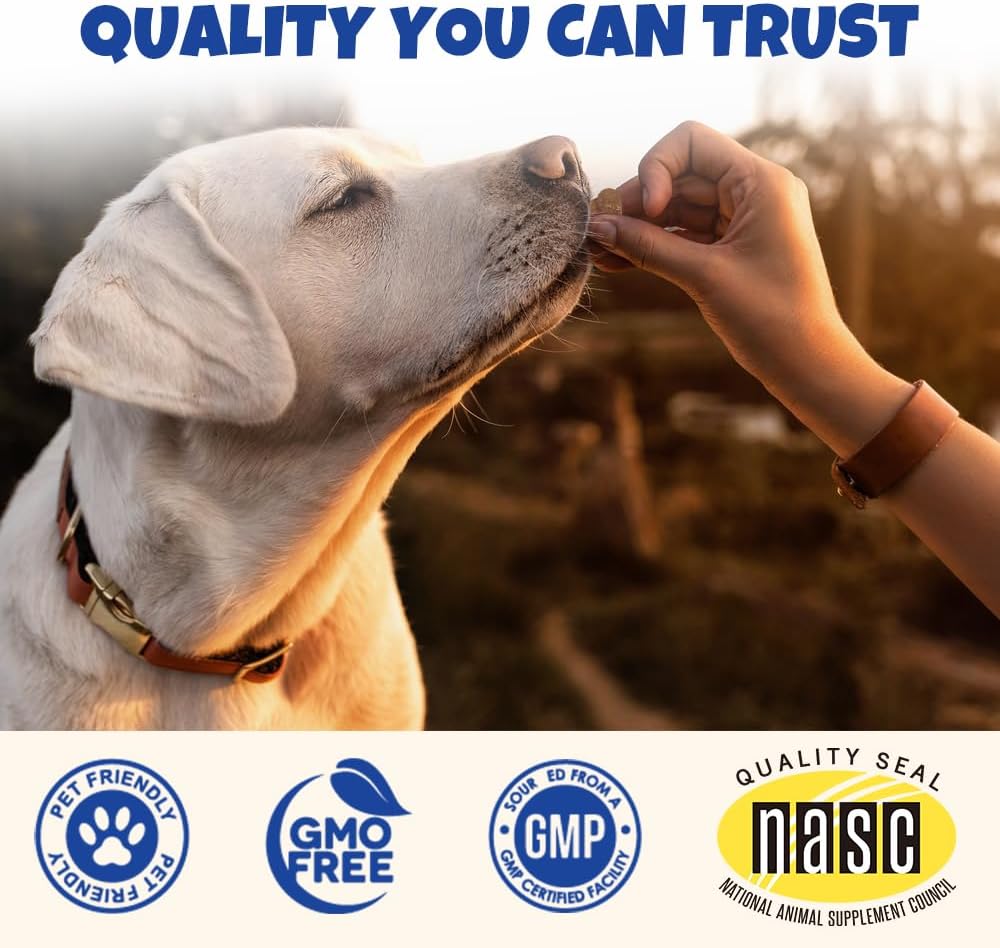 Probiotics for Dogs: Itchy Skin Relief, Gut Health, Allergy Support, Immunity Boost - Digestive Enzymes with Prebiotics, 90 Pork Chews
