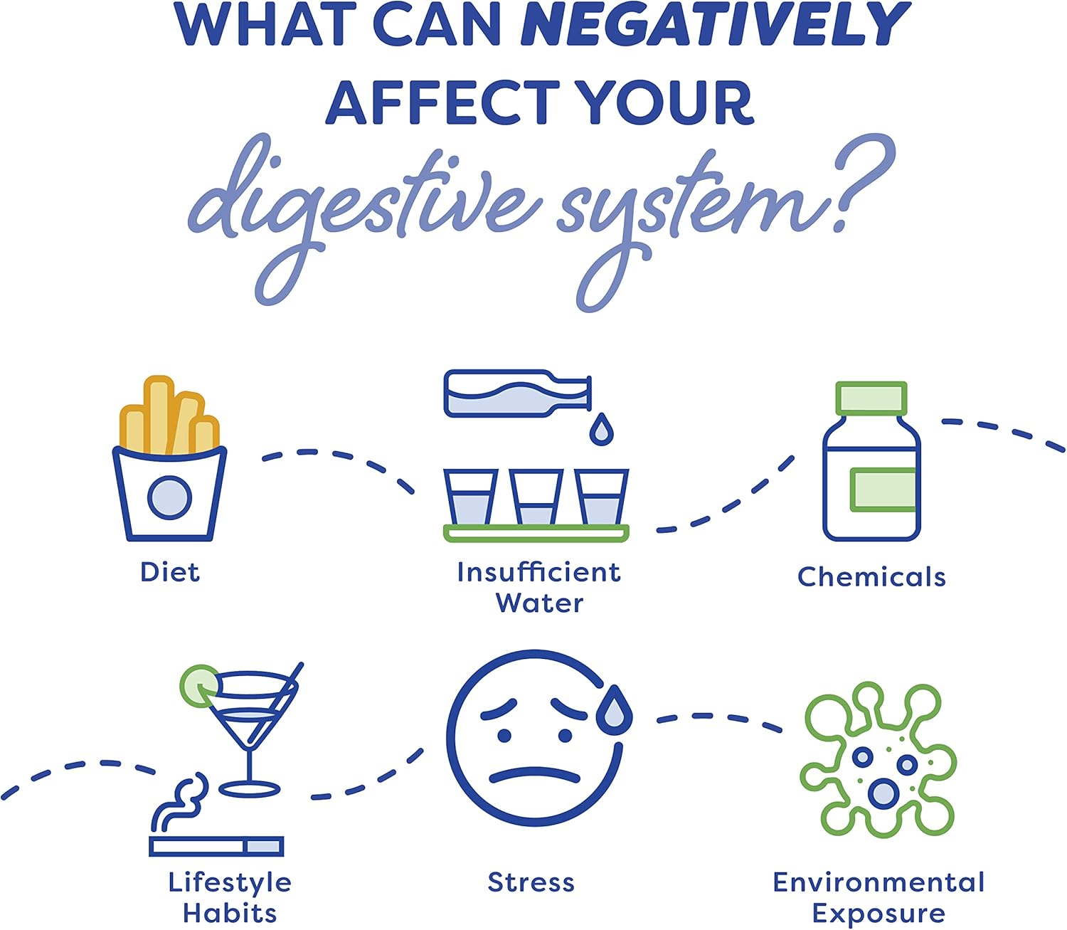 Probulin Daily Digestive Enzymes - 90 Capsules for Gut Health and Digestion Support