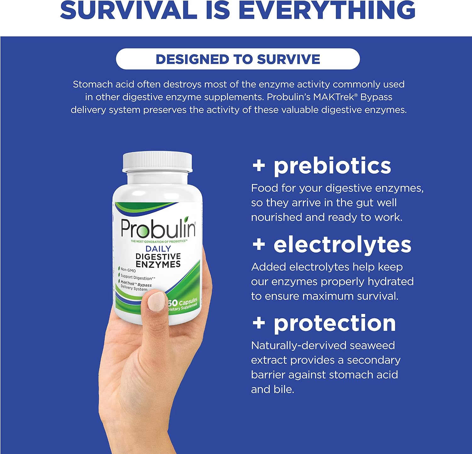 Probulin Daily Digestive Enzymes - 90 Capsules for Gut Health and Digestion Support
