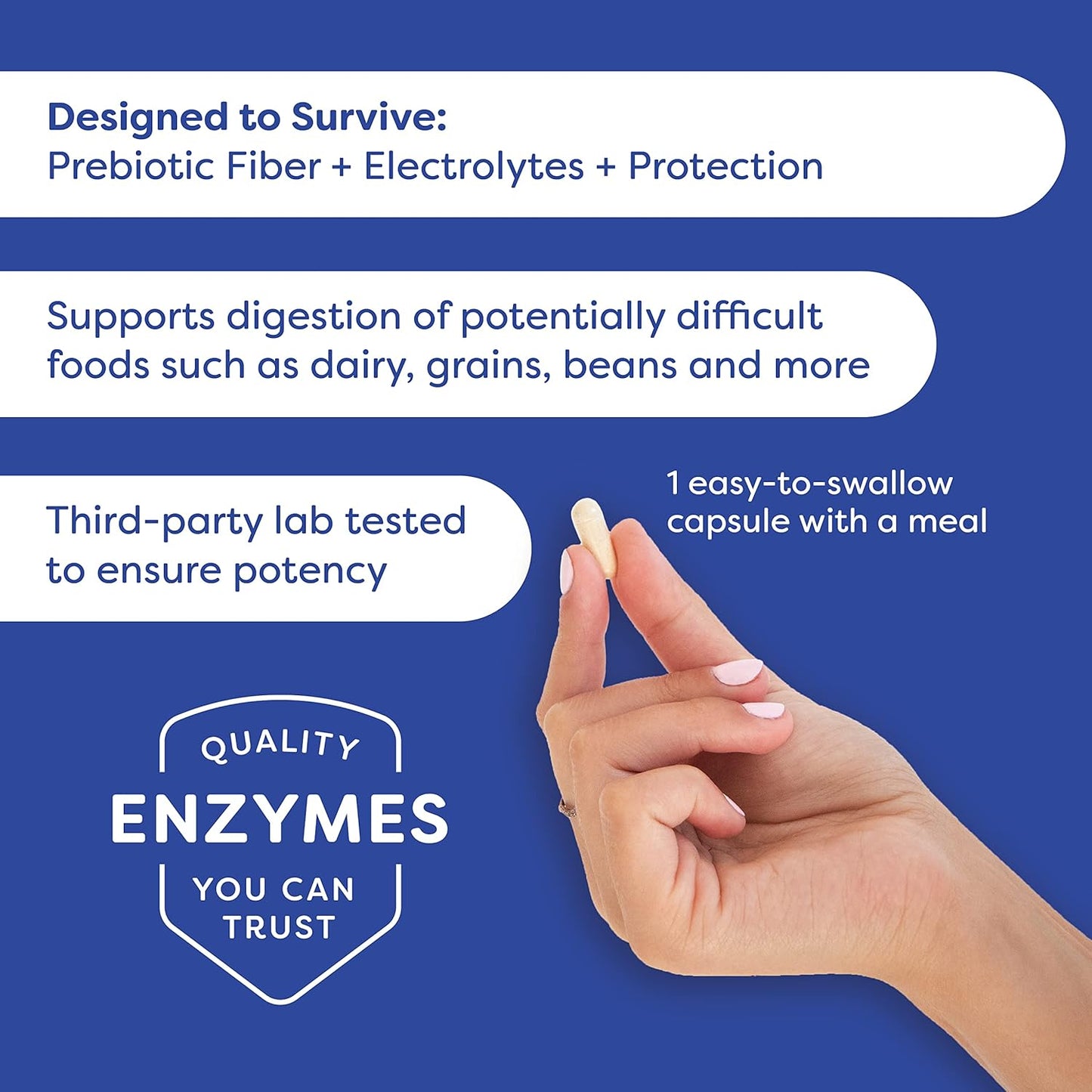 Probulin Daily Digestive Enzymes - 90 Capsules for Gut Health and Digestion Support