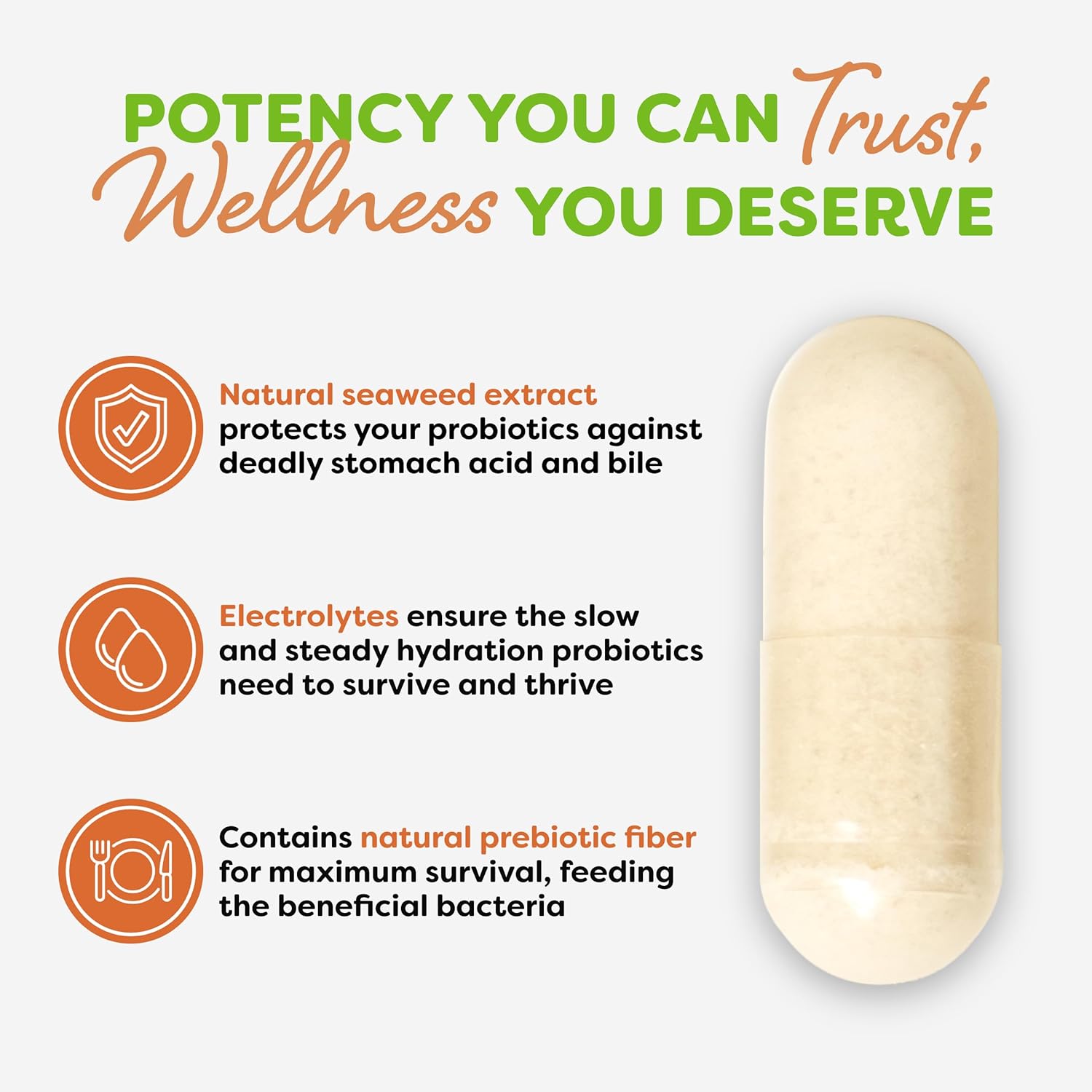 Probulin Total Care Probiotic Supplement - 90 Capsules, 20 Billion CFU for Gut, Digestive & Immune Health - Vegan Formula for Men and Women