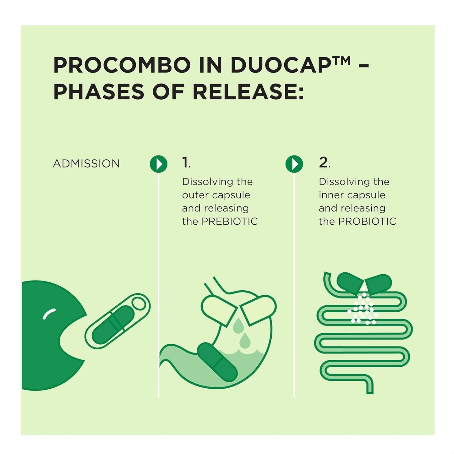 ProCombo - Advanced Synbiotic Blend for Targeted Delivery of Beneficial Bacteria. Double Capsule and Liquid Formula for Quick Results. 3-Pack with Daily Dosage.