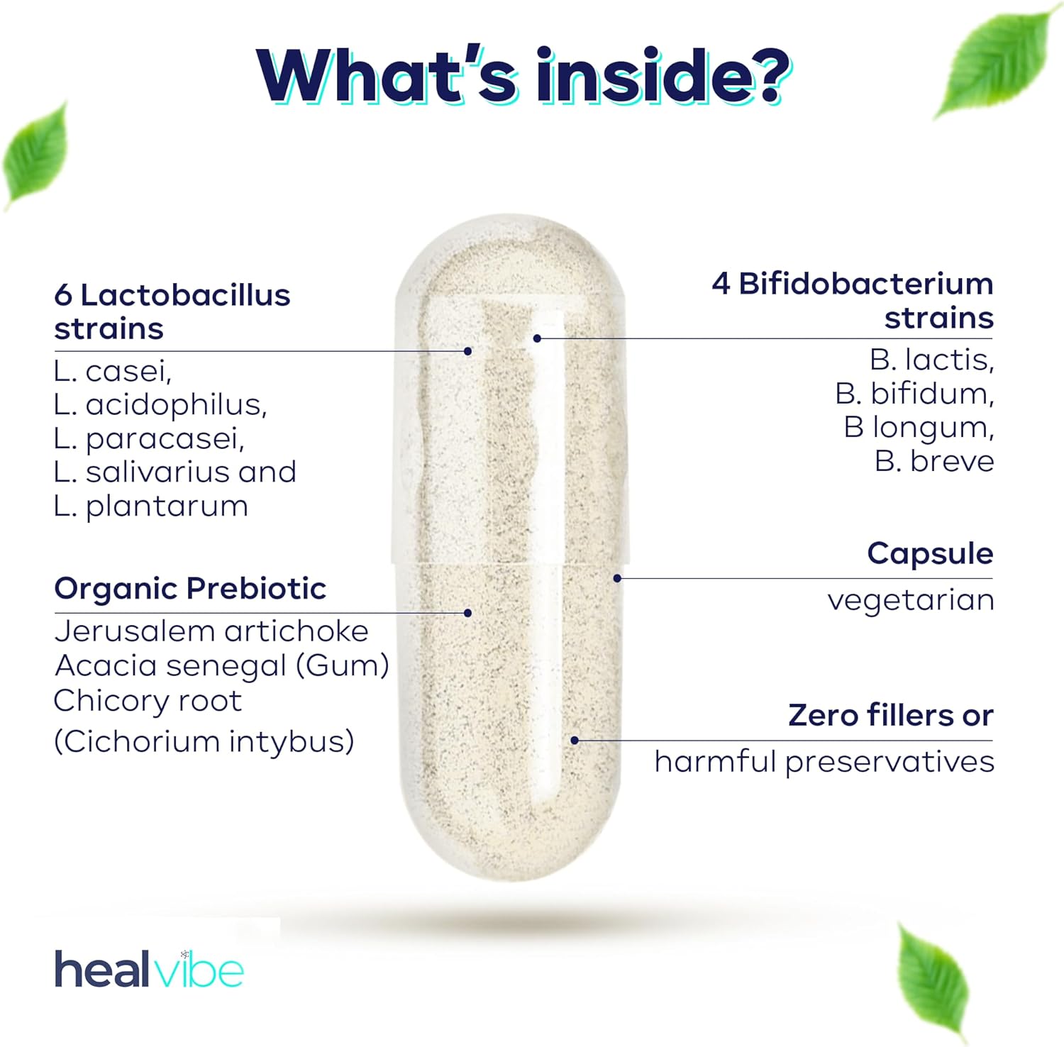 Professional Grade HealVibe Probiotics with 60 Billion CFU, 30 Count - Organic Prebiotics, 10 Strains, Eco-Friendly Packaging - Women and Men's Health