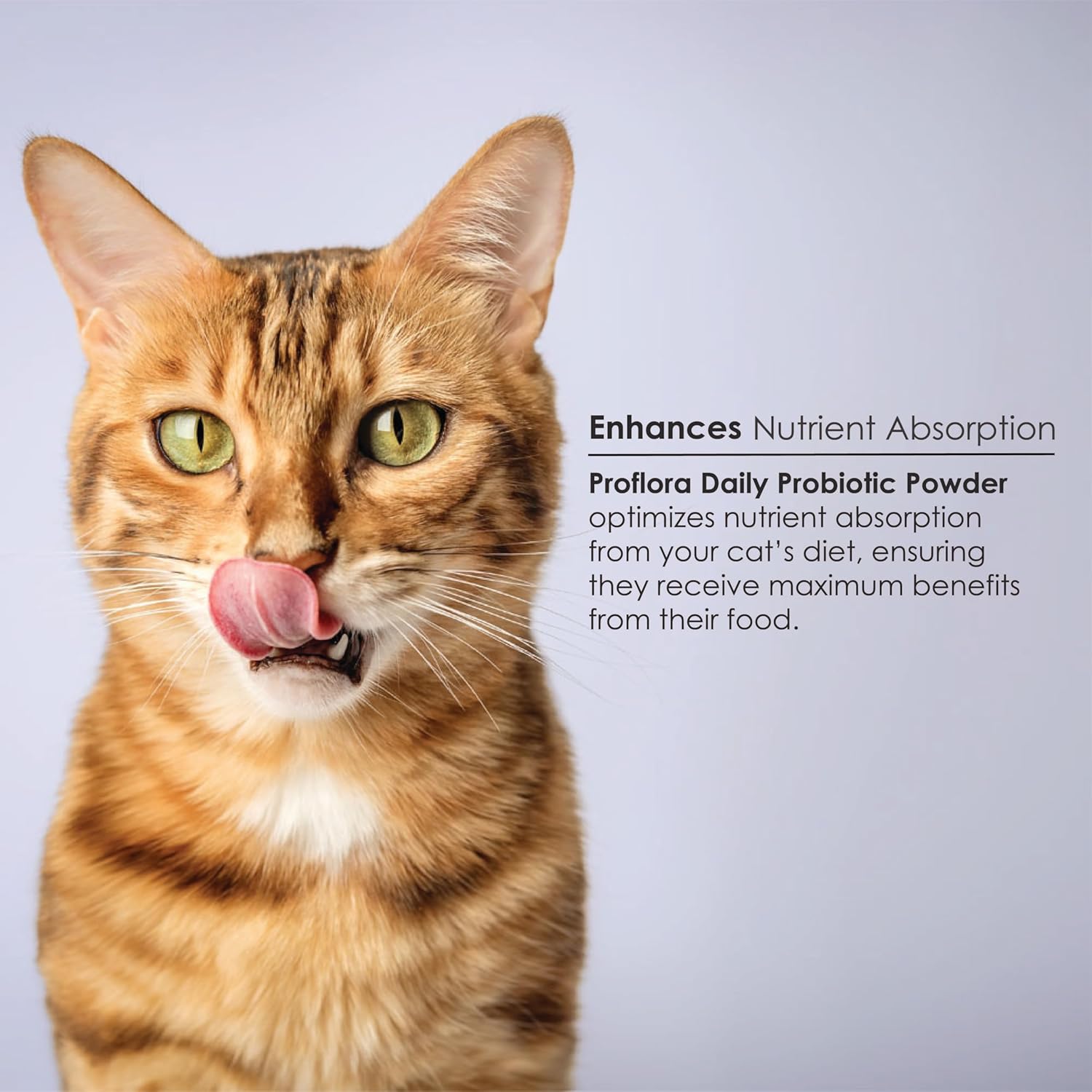 Proflora Probiotics for Cats - Supports Gut Health, Immune System & Skin. Digestive Multi-Strain Probiotics for Easy Diet Transitions. Helps with Diarrhea. 30 Packets.