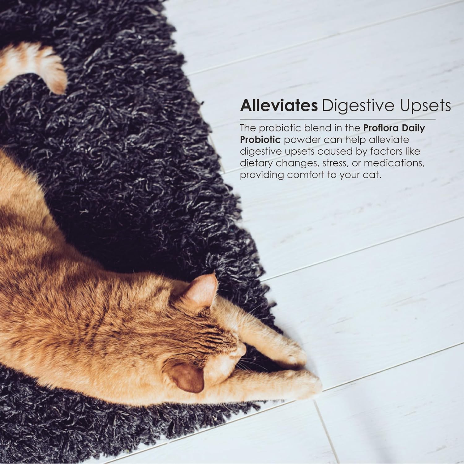 Proflora Probiotics for Cats - Supports Gut Health, Immune System & Skin. Digestive Multi-Strain Probiotics for Easy Diet Transitions. Helps with Diarrhea. 30 Packets.