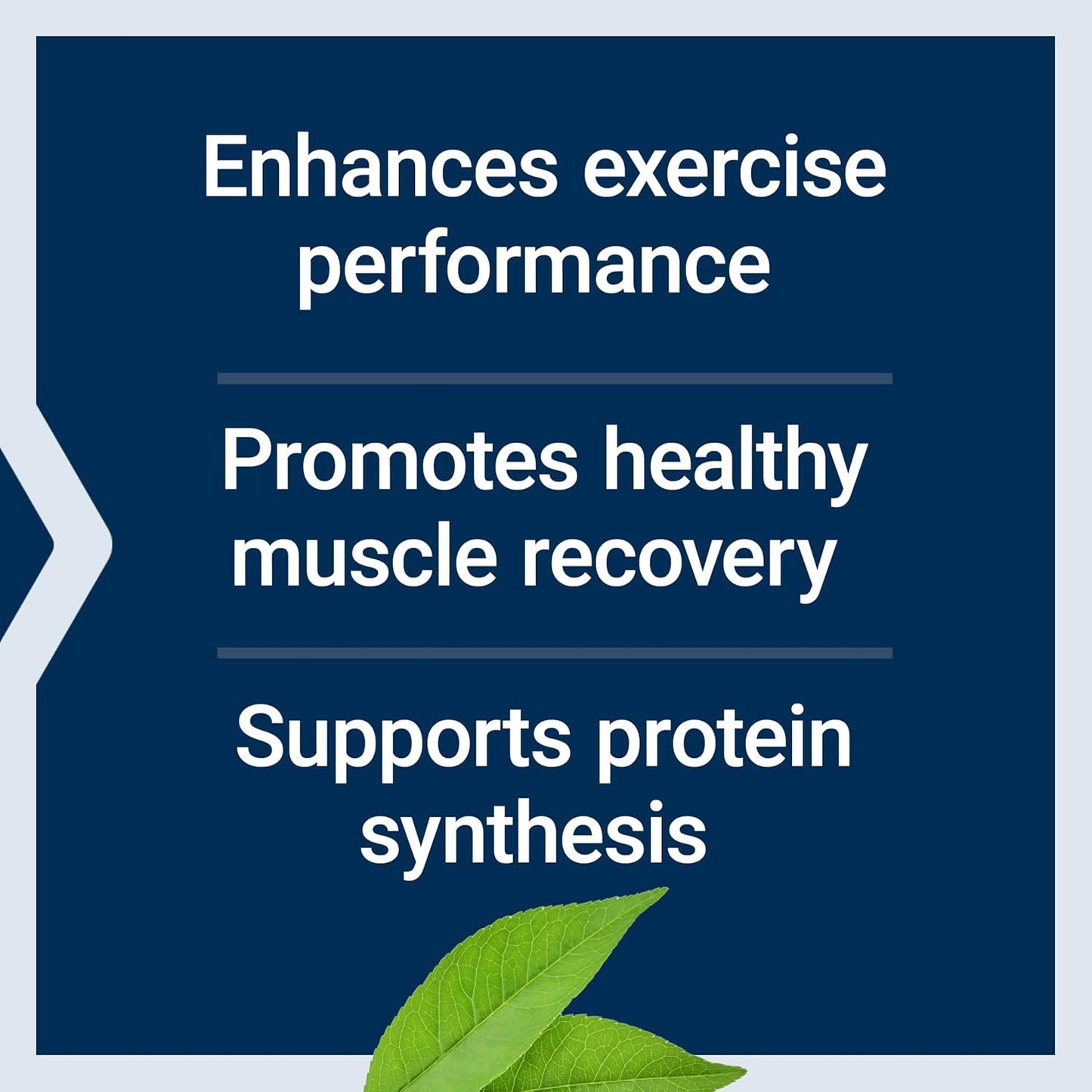 Promote Muscle Recovery with Life Extension BCAA Supplements - Gluten-Free, Non-GMO, 90 Capsules