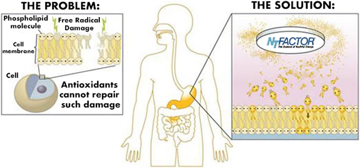 Propax Gold: Natural Energy Booster for Chronic Fatigue - Multi-vitamin & Mineral Supplement with Amino Acids & Antioxidants - 60 Pack