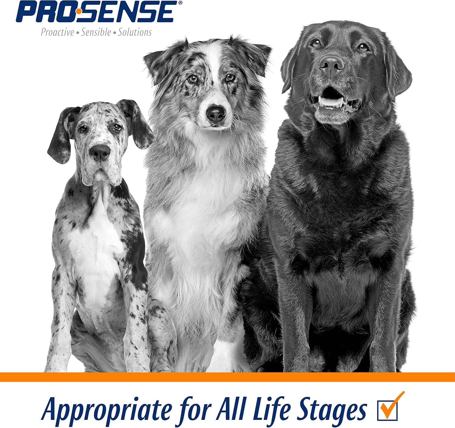 ProSense Chewable Vitamin Tablets for Dogs - 90 Count, Supports Overall Wellness