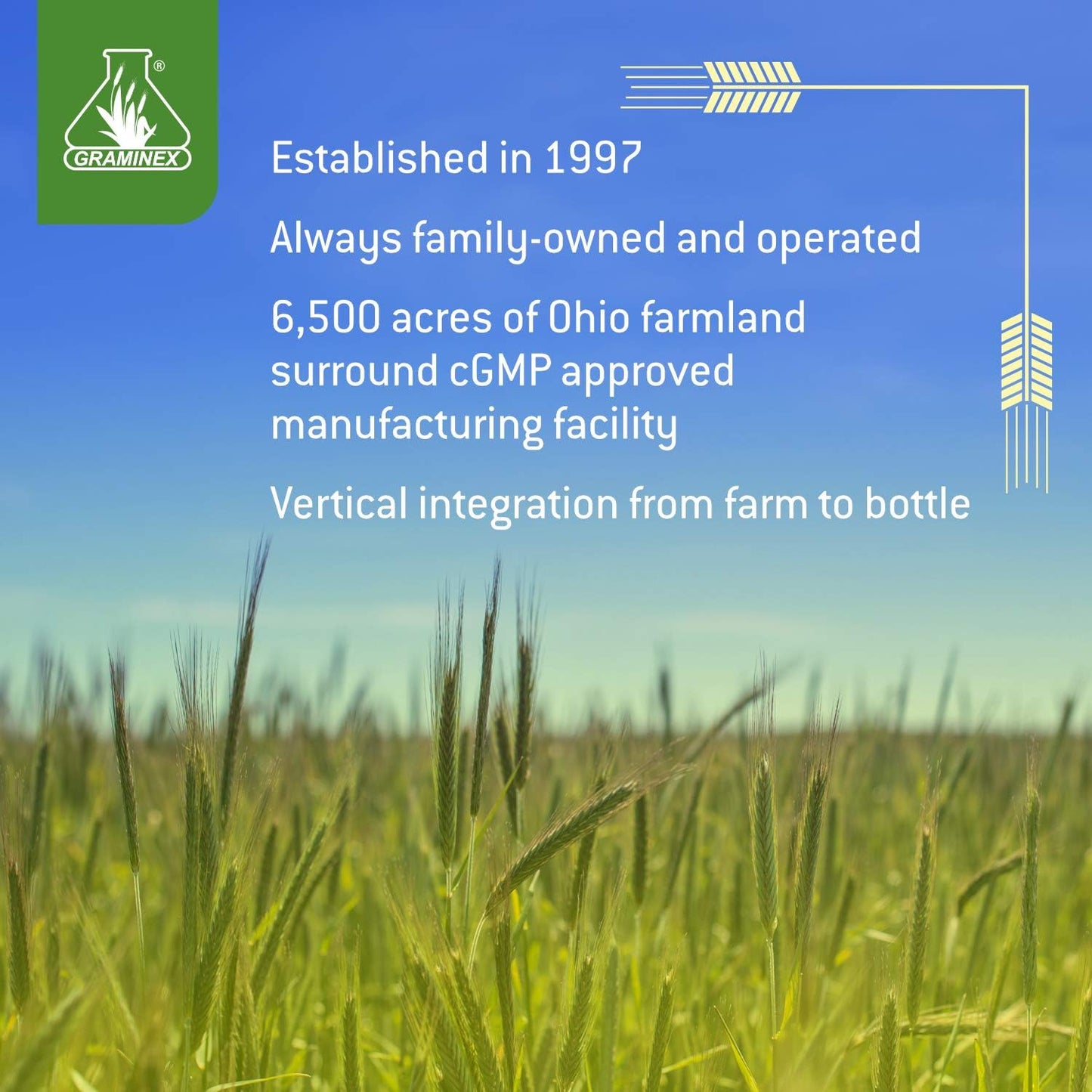 Prostanex Prostate Health Supplement with Flower Pollen & Saw Palmetto - Supports Bladder Control & Urinary Tract - 90 Capsules