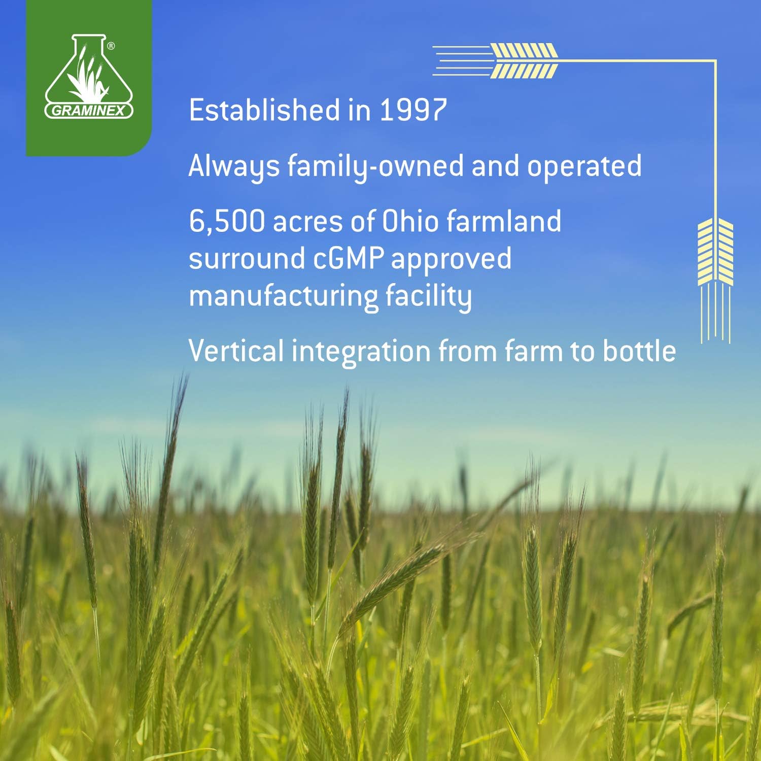 Prostanex Prostate Health Supplement with Flower Pollen & Saw Palmetto - Supports Bladder Control & Urinary Tract - 90 Capsules