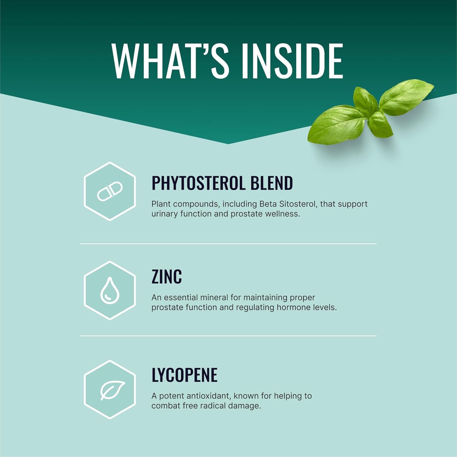 Prostarex Prostate Supplement with Saw Palmetto & Beta-Sitosterol - 90 Capsules