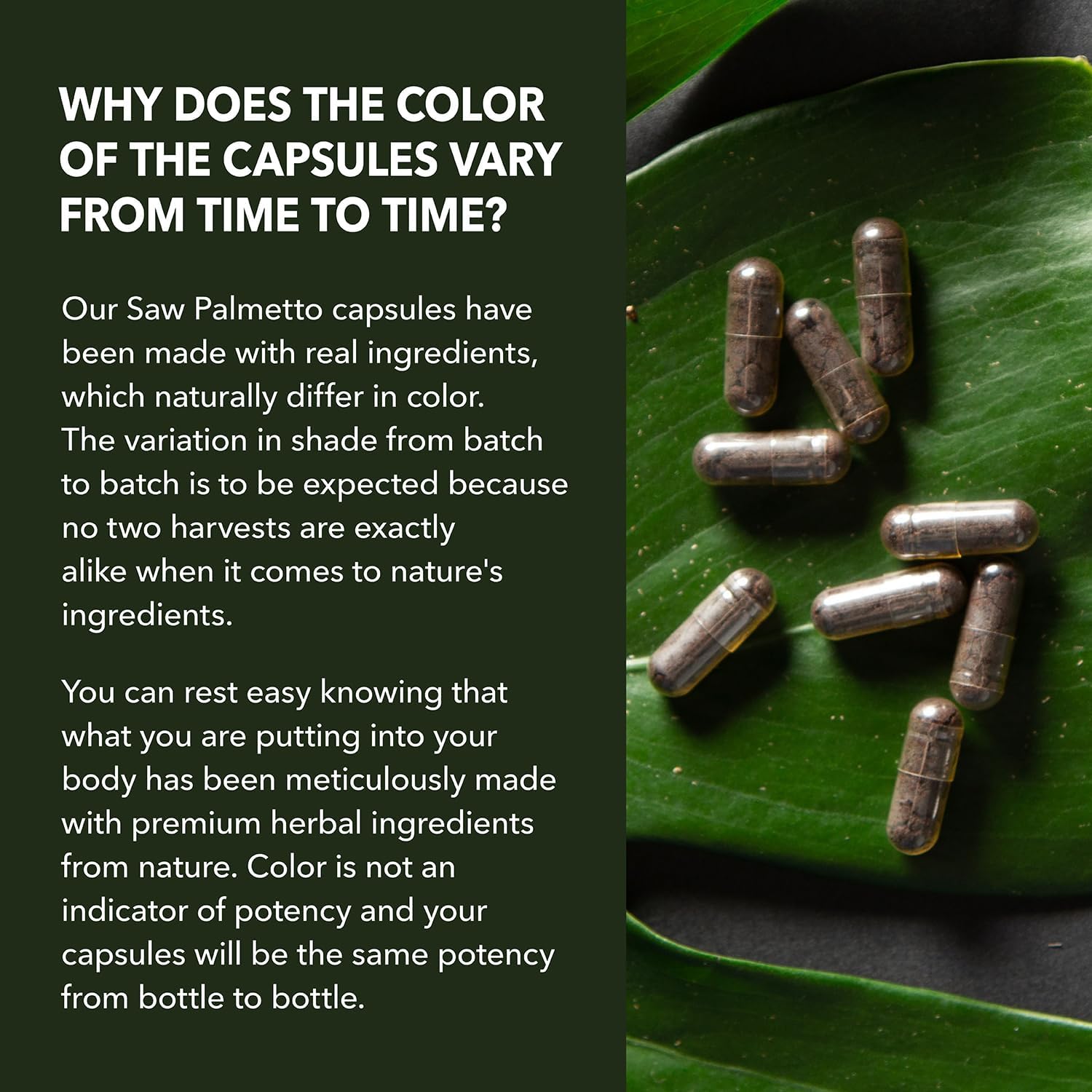 Prostate Health Supplement for Men - Saw Palmetto 500mg - DHT Blocker - Vegan Capsules - 100 Count - Urinary Tract Support - Non-GMO - Over 3 Month Supply