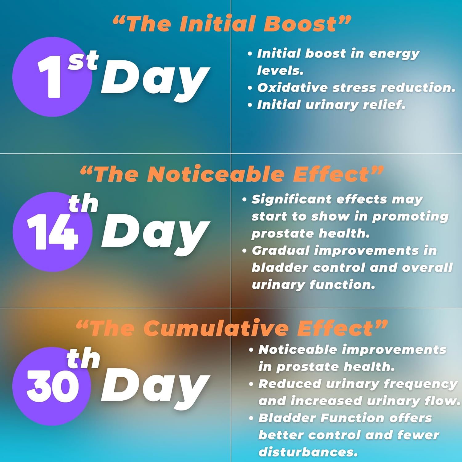 Prostate Support Supplement with Saw Palmetto & Bladder Control Complex - 30 Day Supply