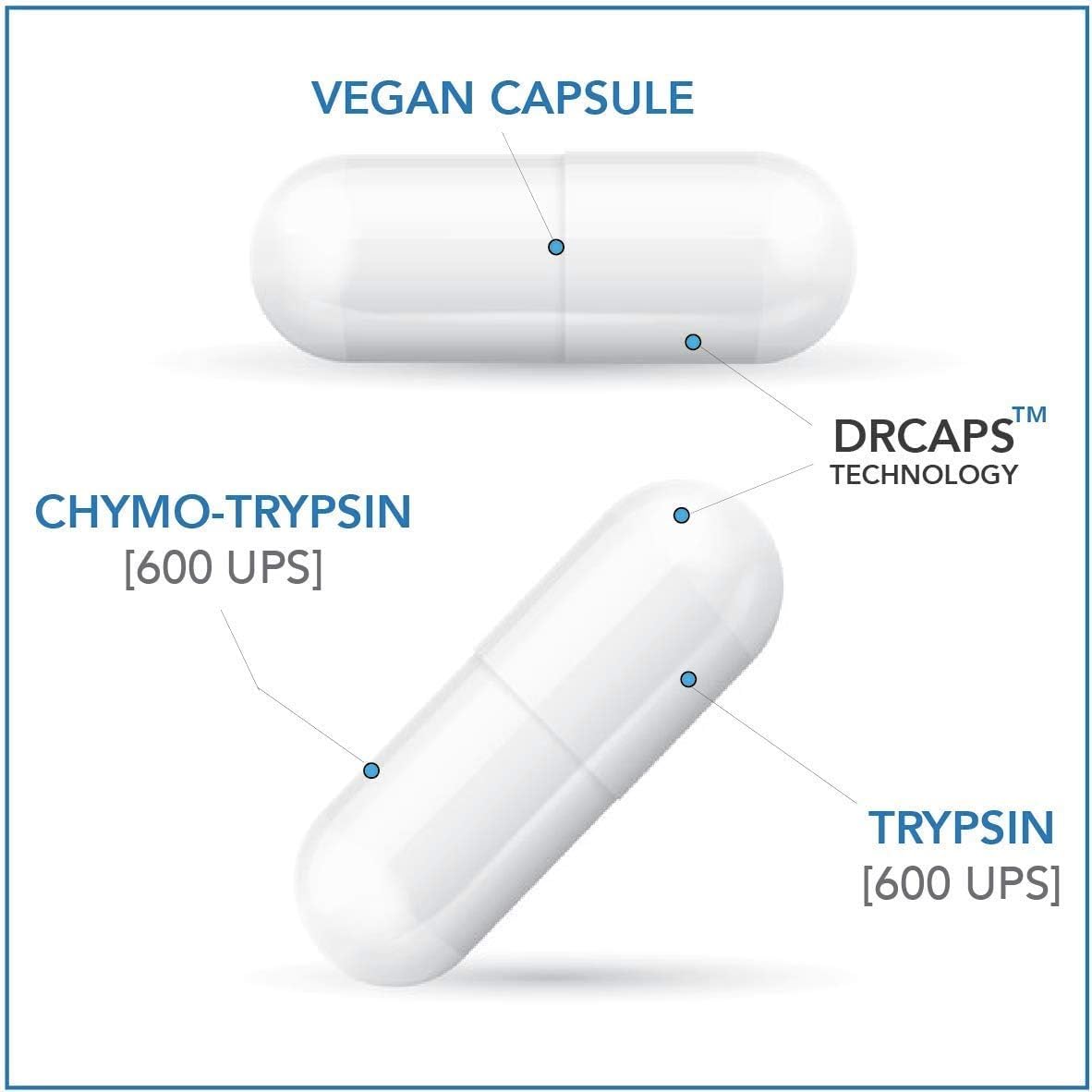 Proteolytic Enzymes Supplement for Tissue Trauma Recovery, Bruising, Swelling | Immune System Support - 60 Capsules